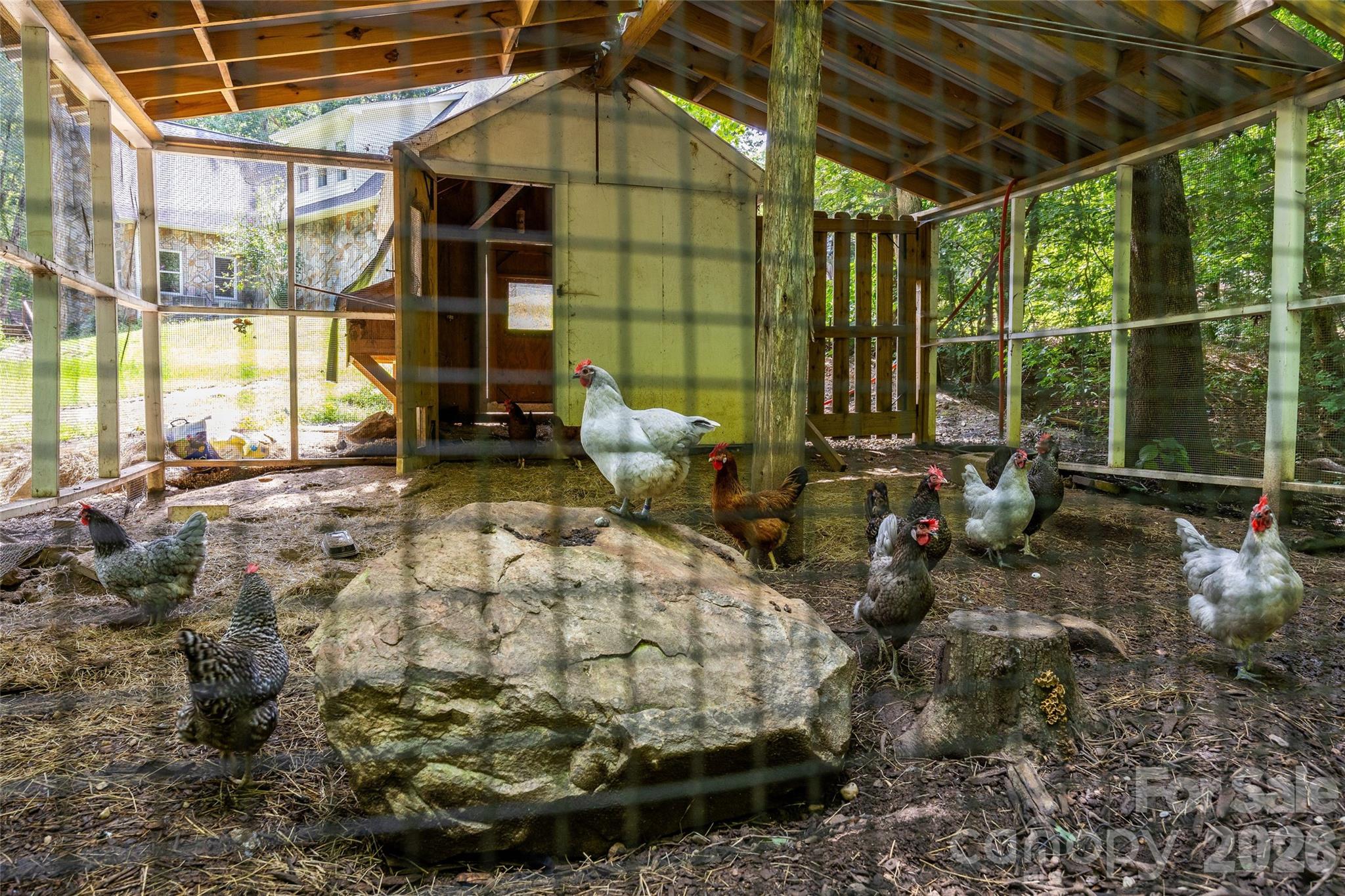 Chicken Coop - 7105 Old Ridge Road, Waxhaw
