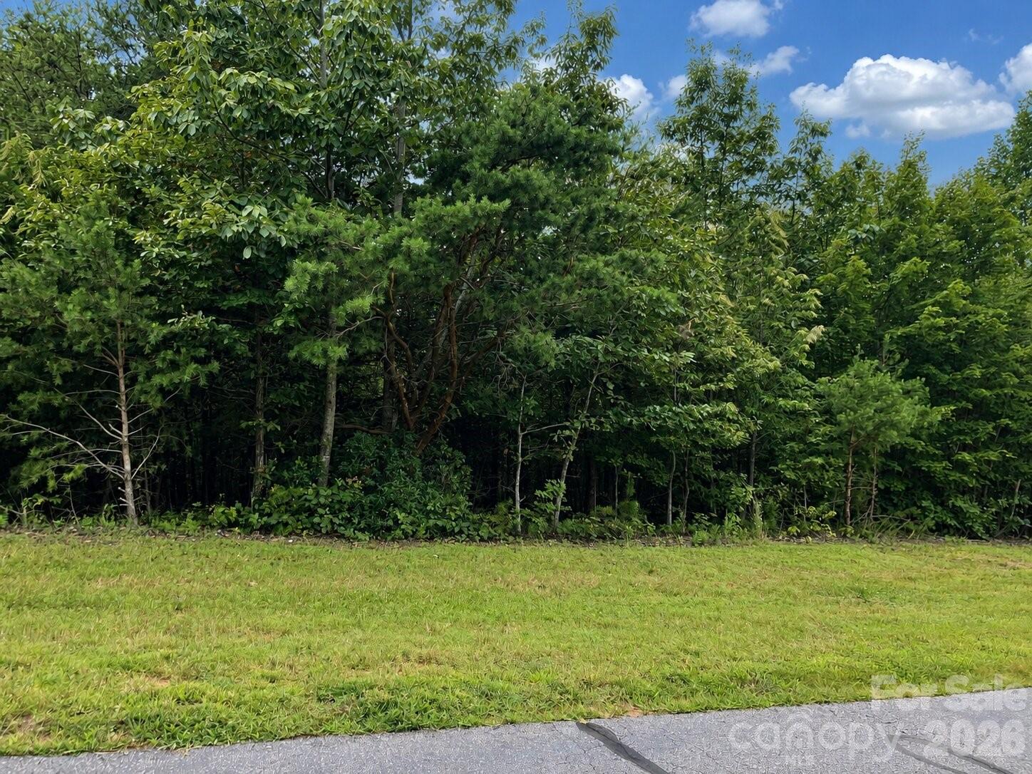 Lot at 1211 Mountain Vista Drive, Nebo, photo 7 of 21