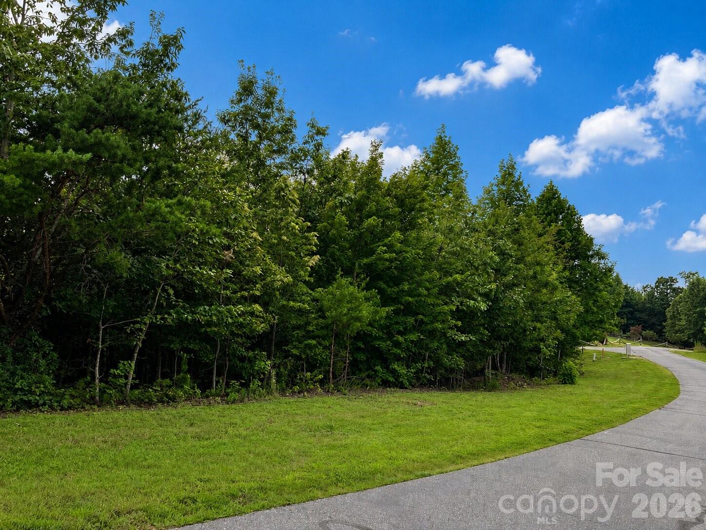 Lot at 1211 Mountain Vista Drive, Nebo, photo 8 of 21