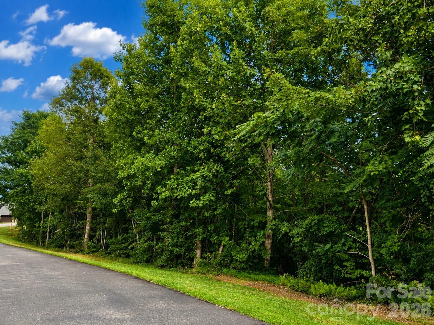 Lot at 1211 Mountain Vista Drive, Nebo, photo 9 of 21