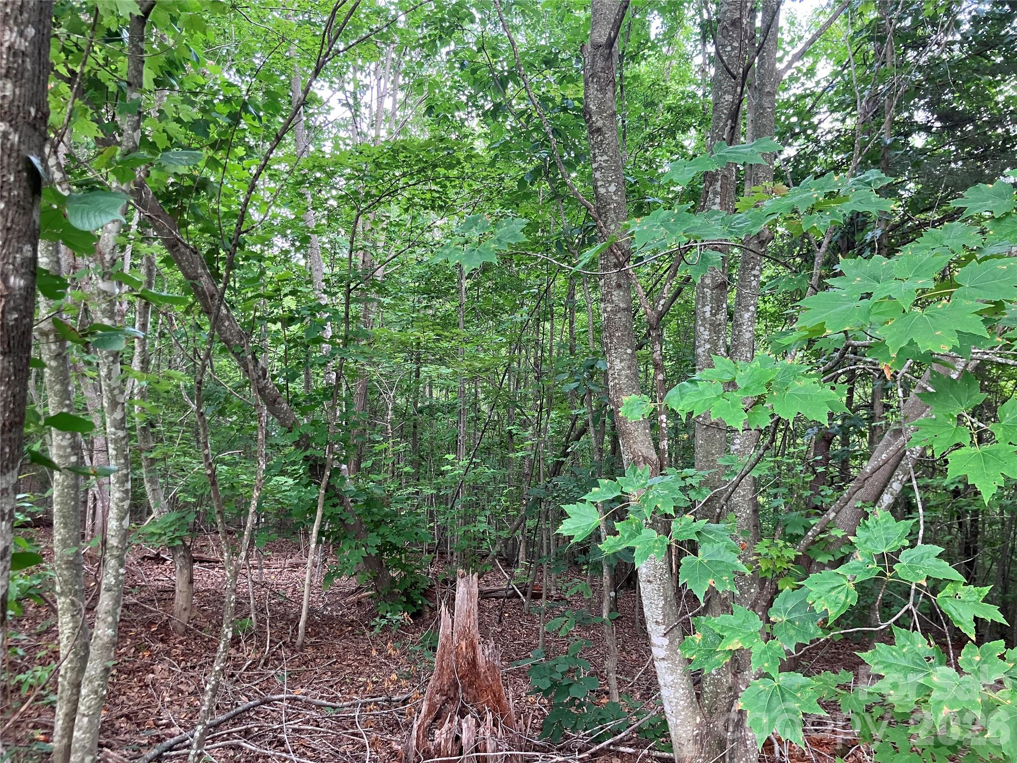 Lot at 1211 Mountain Vista Drive, Nebo, photo 10 of 21