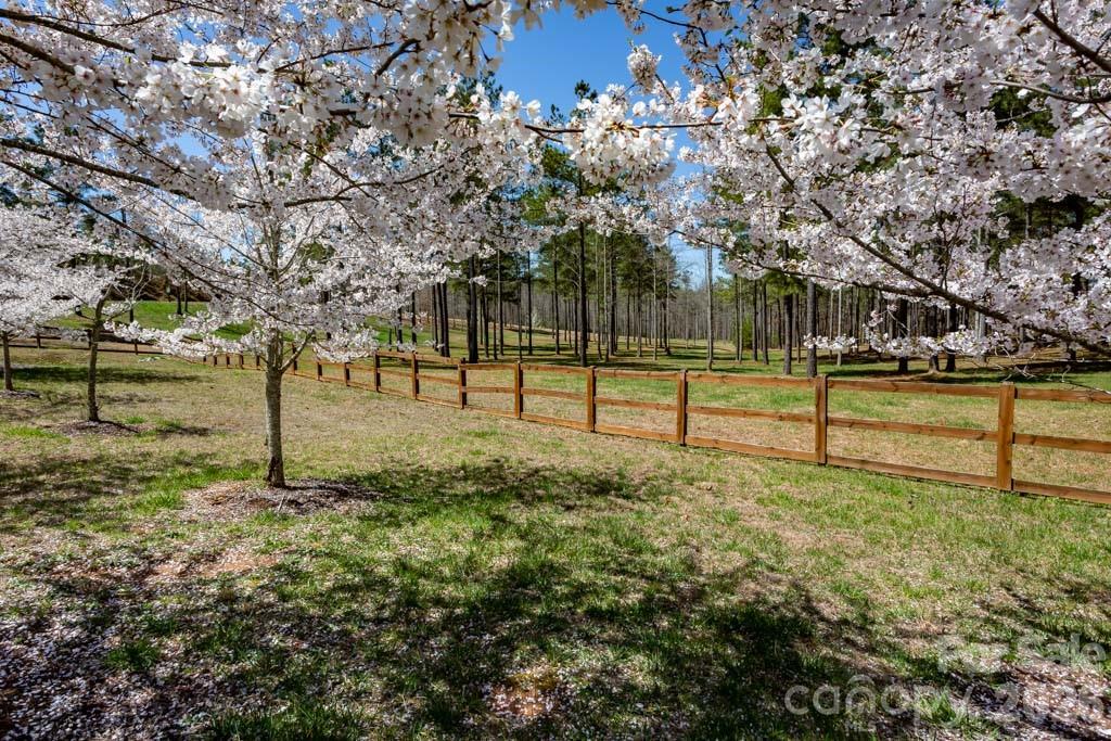 Lot at 1211 Mountain Vista Drive, Nebo, photo 20 of 21