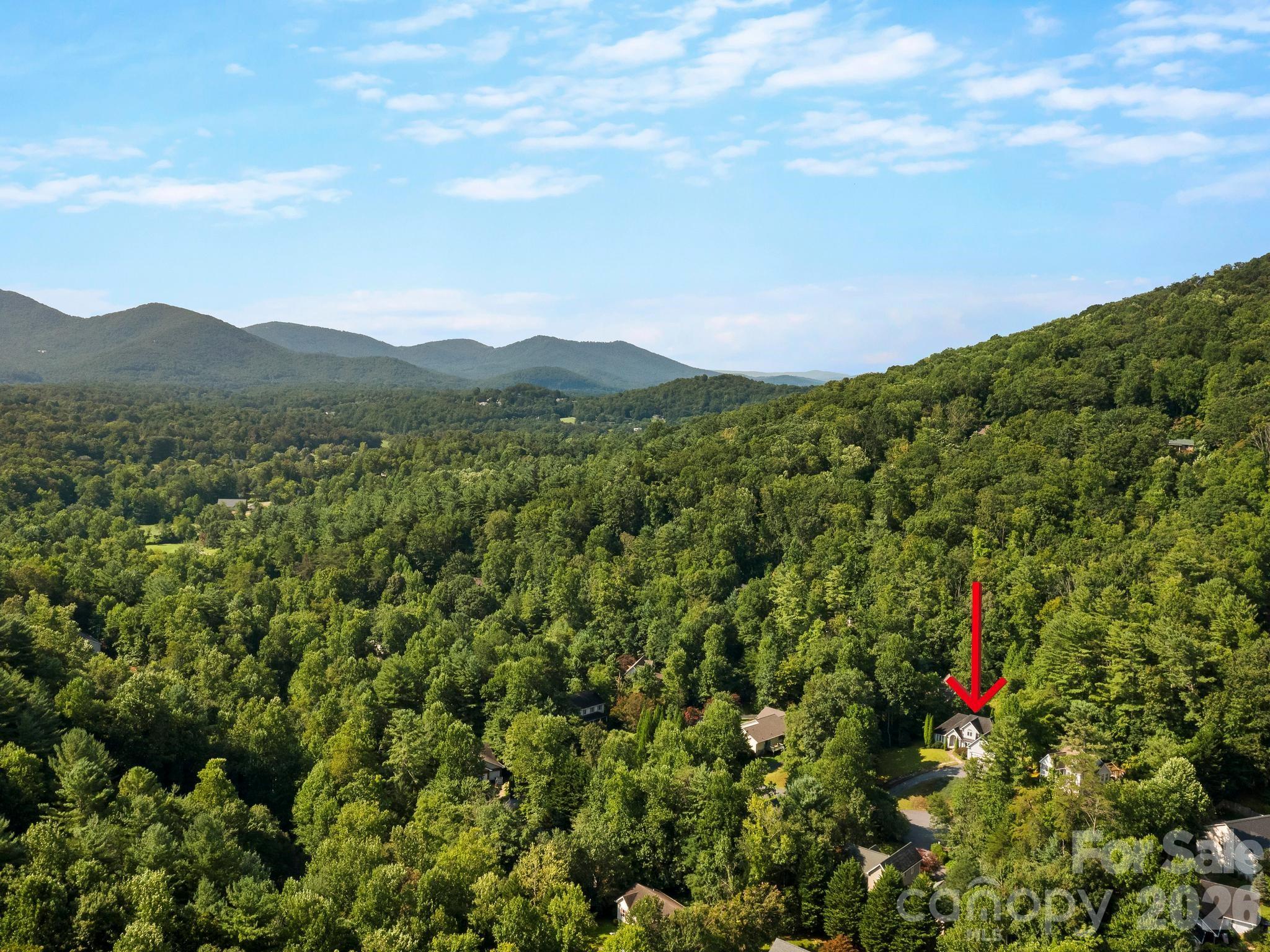aerial view of home and lot - 306 Golden Hawk Trail, Asheville