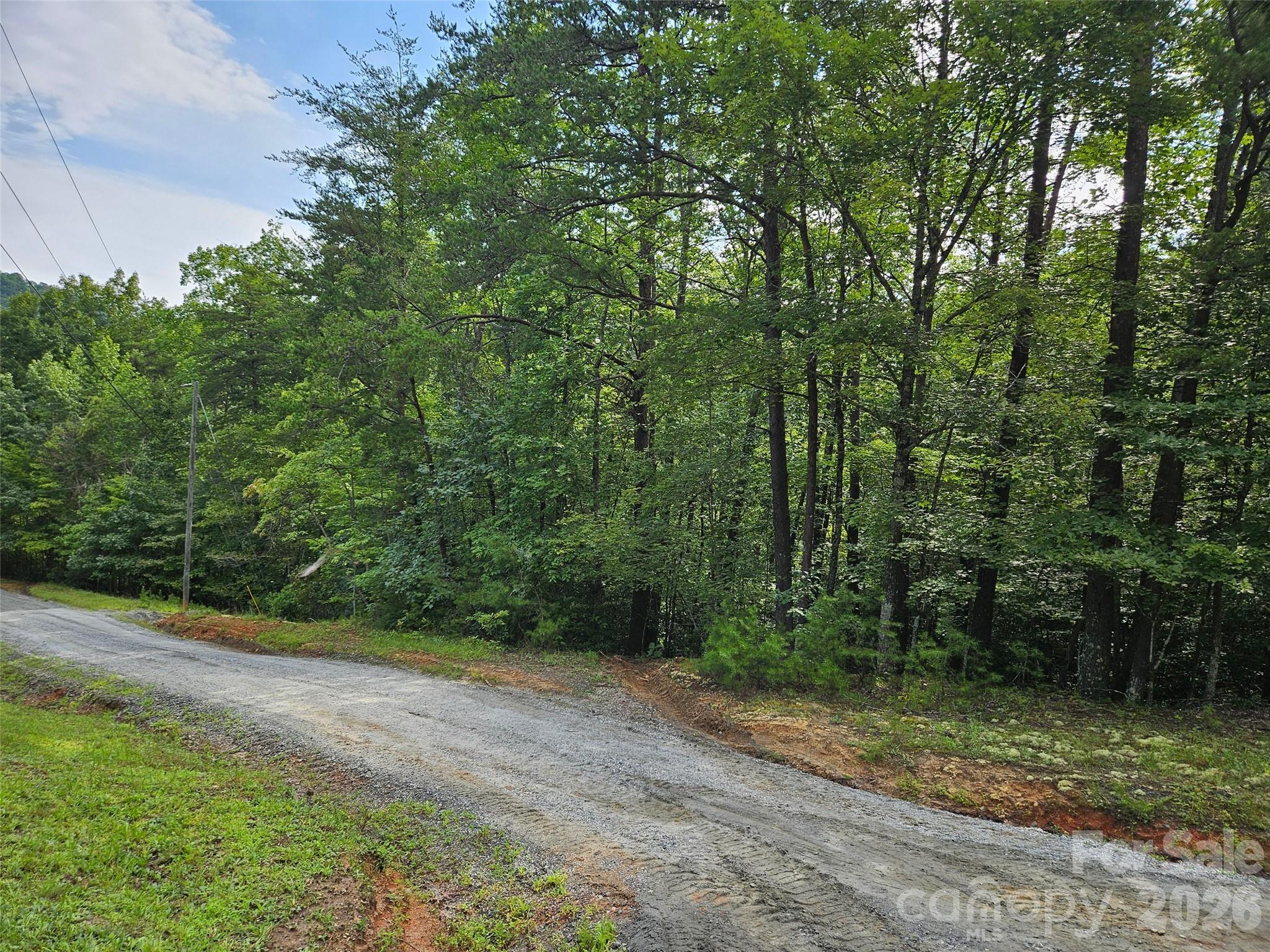 Lot at 0 Hawks Terrace, Lake Lure, photo 4 of 14