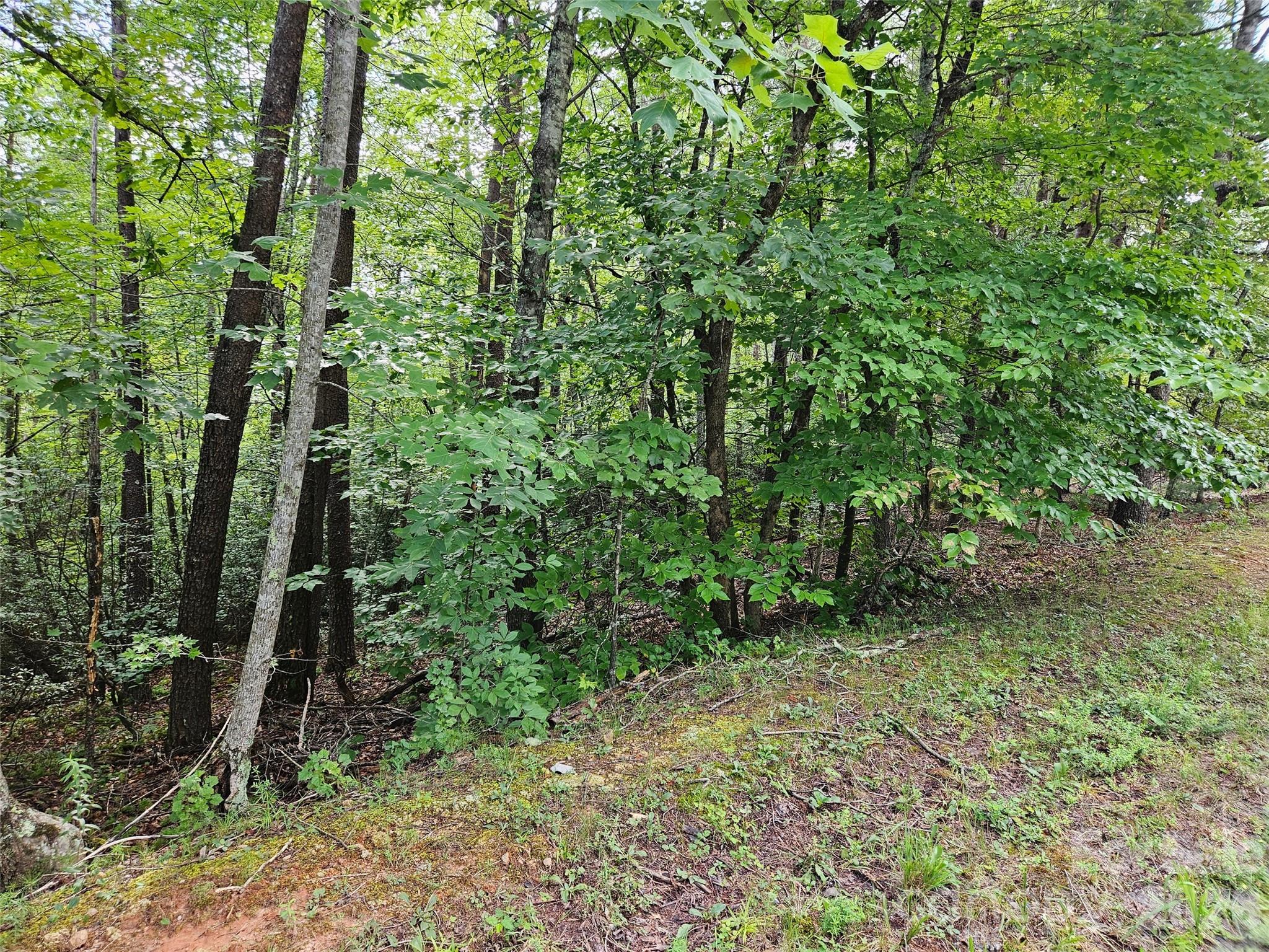 Lot at 0 Hawks Terrace, Lake Lure, photo 7 of 14