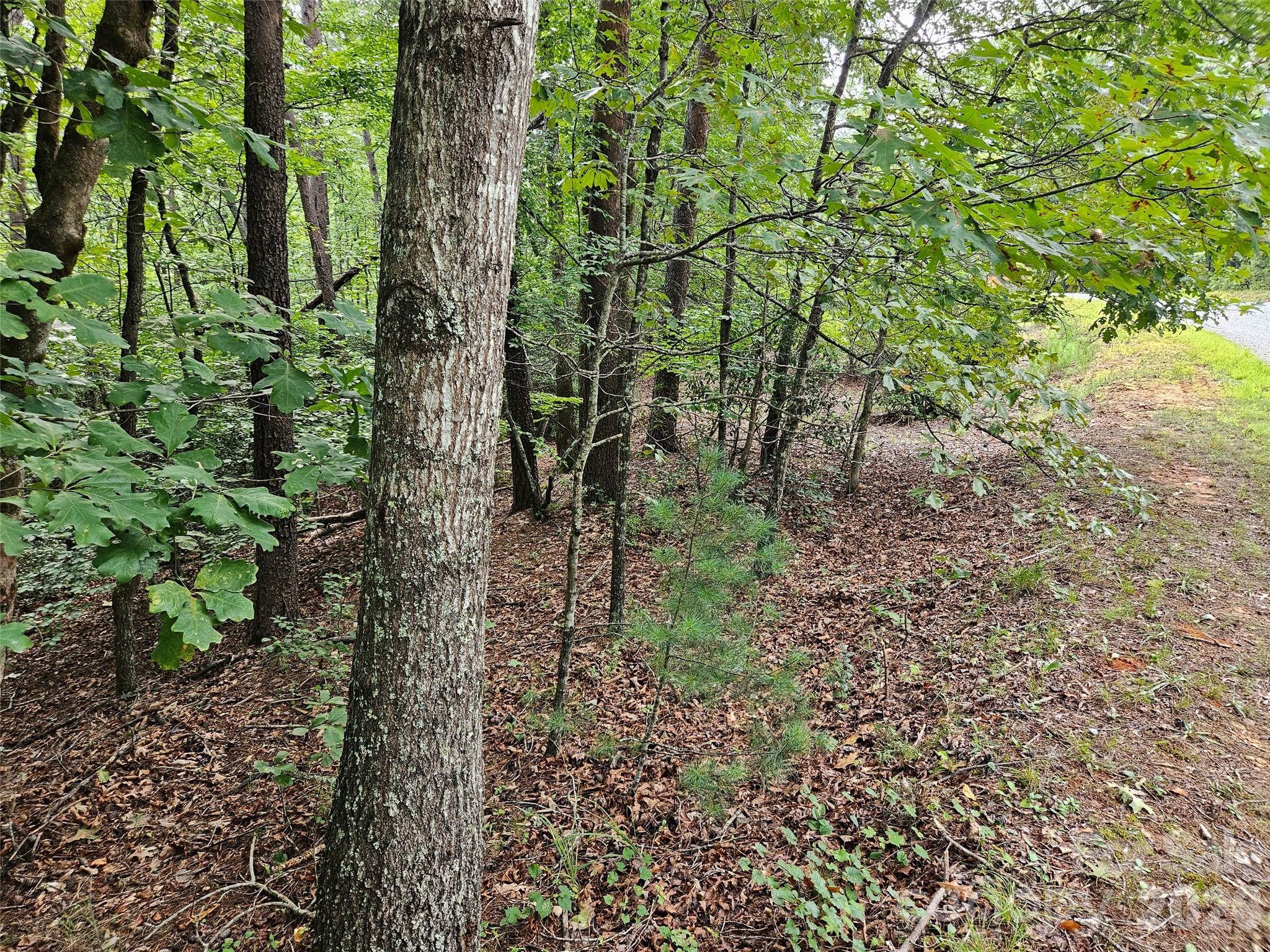 Lot at 0 Hawks Terrace, Lake Lure, photo 10 of 14