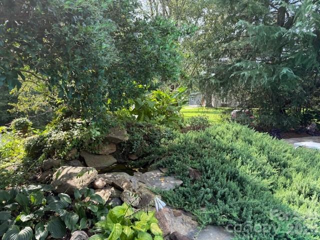 Landscape - 3319 Humphries Road, Shelby