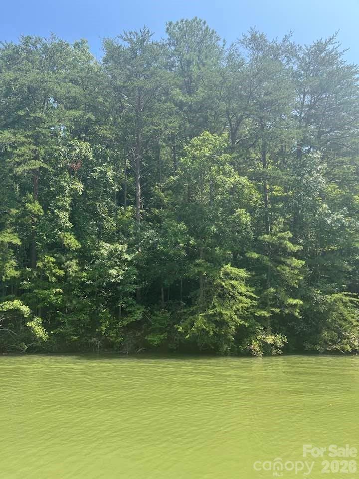 Lot view from lake - 00 Canoe Drive, Mill Spring