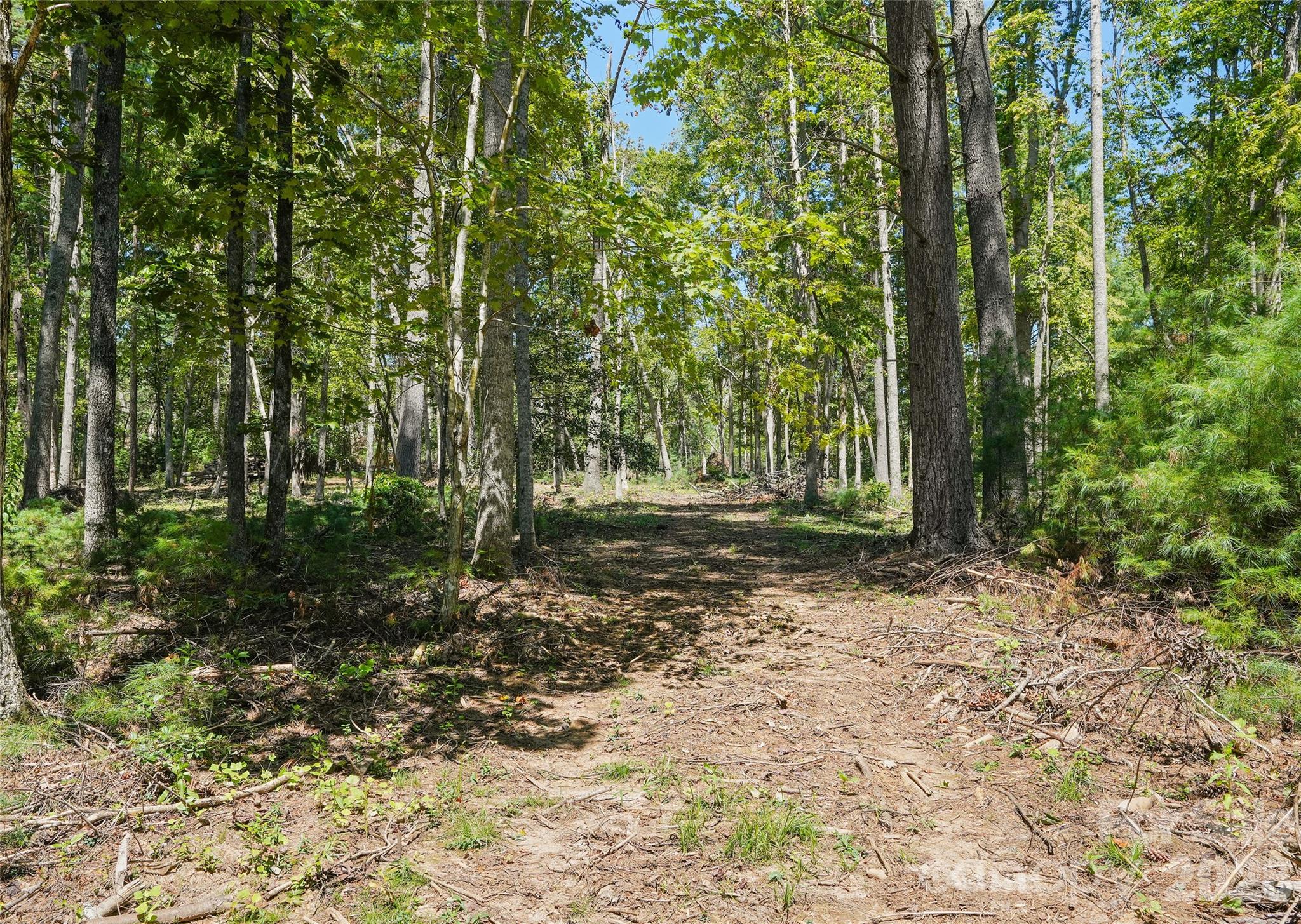 Lot at 15 Mirehouse Run, Asheville, photo 2 of 21