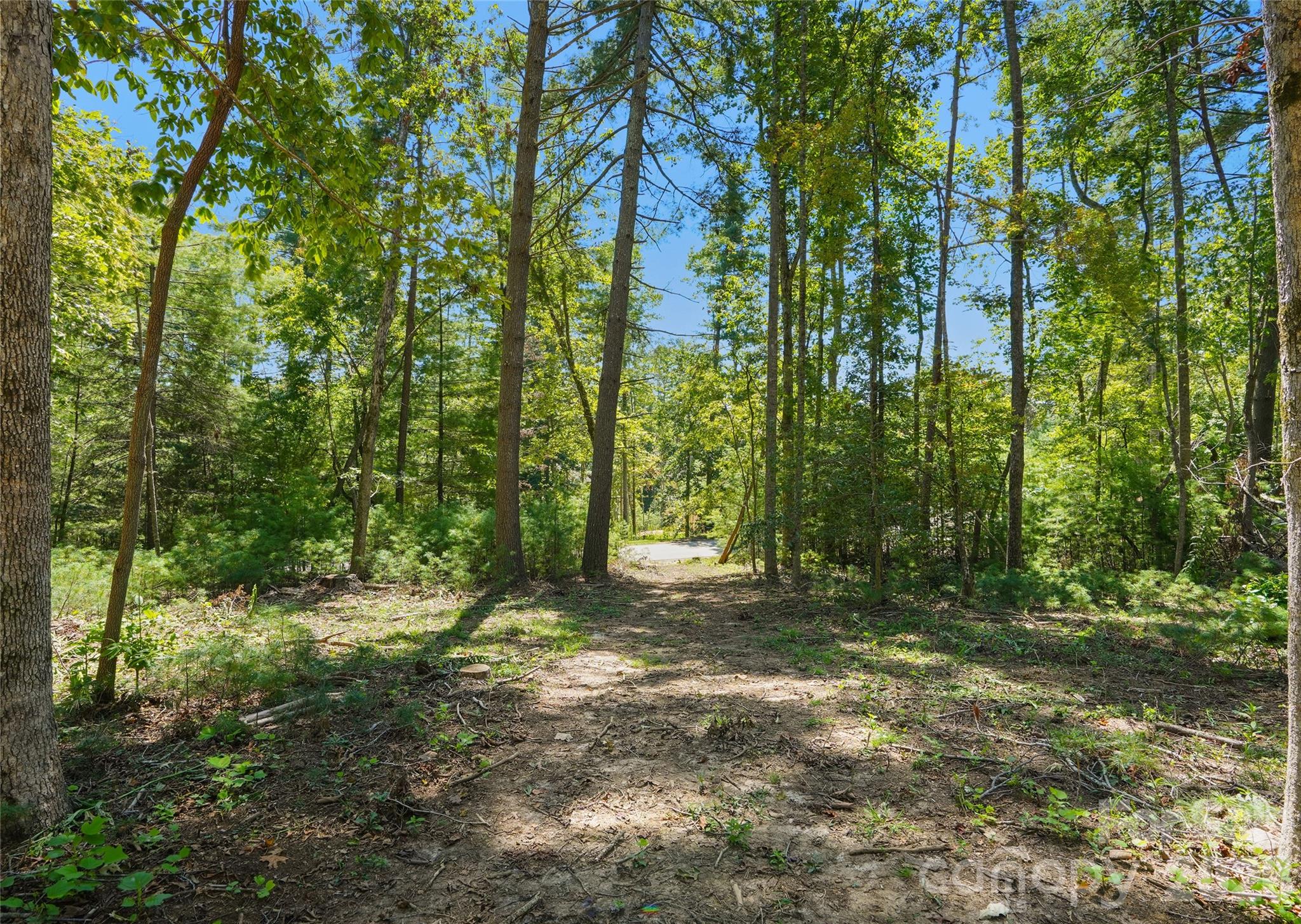 Lot at 15 Mirehouse Run, Asheville