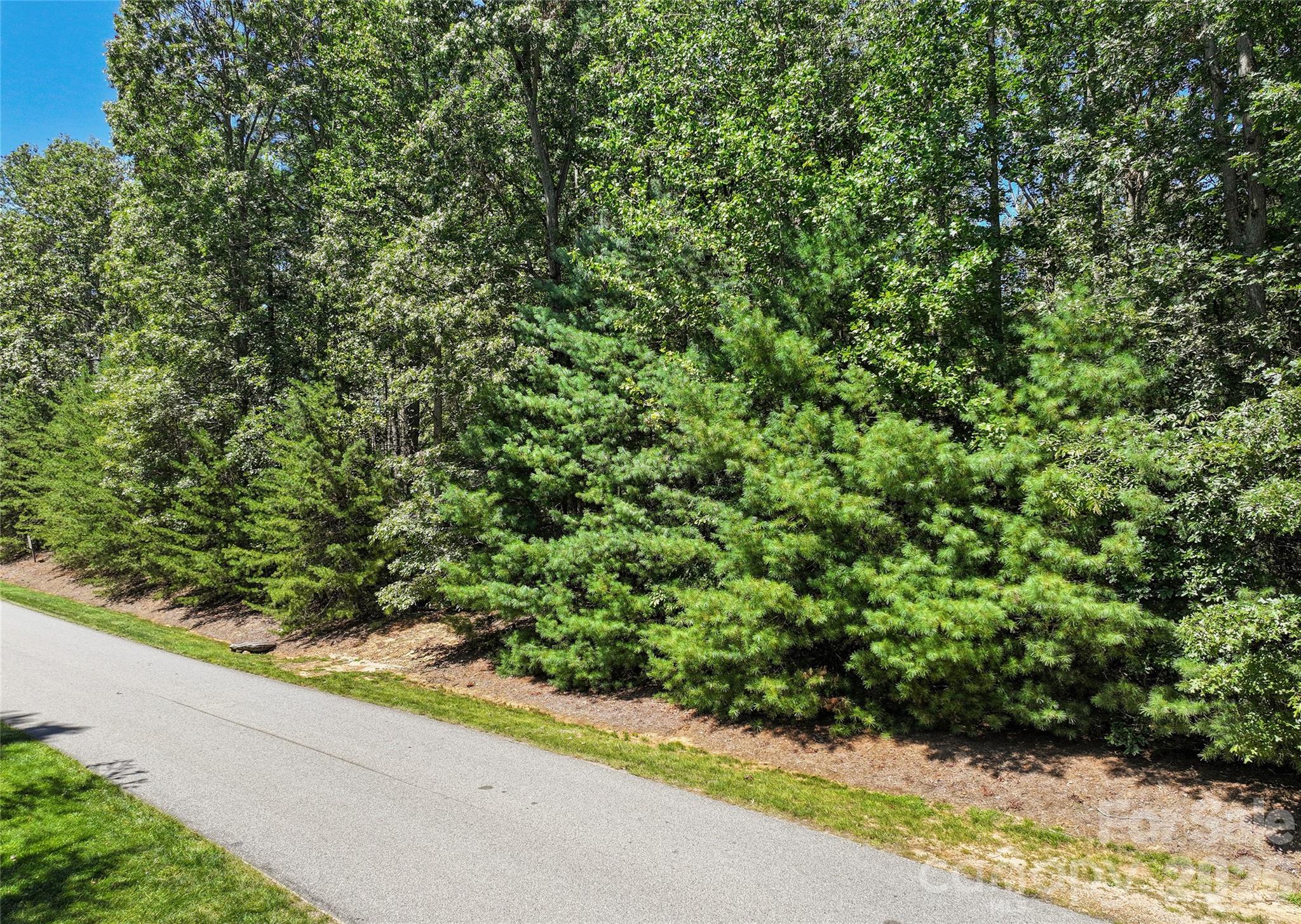 Lot at 15 Mirehouse Run, Asheville, photo 20 of 21