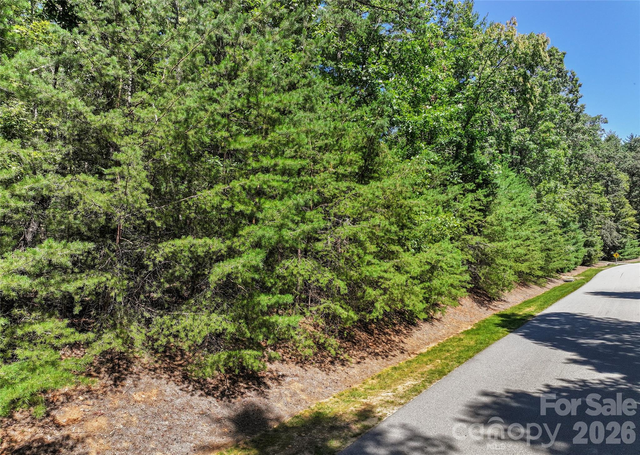 Lot at 15 Mirehouse Run, Asheville, photo 21 of 21