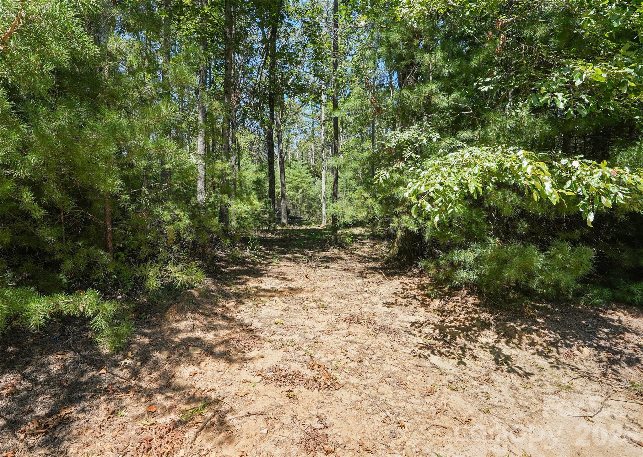 Lot at 15 Mirehouse Run, Asheville, photo 3 of 21