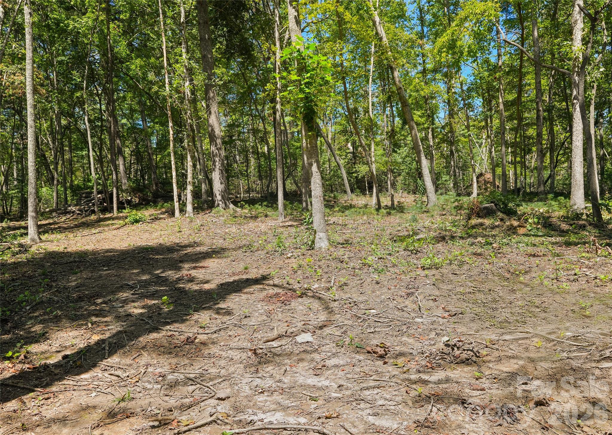 Lot at 15 Mirehouse Run, Asheville, photo 4 of 21
