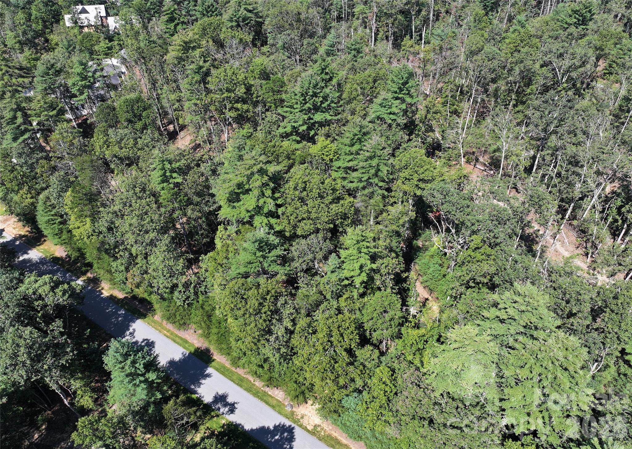Lot at 15 Mirehouse Run, Asheville, photo 7 of 21