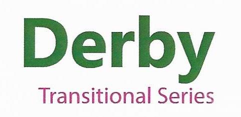 The Derby can be customized to fit your needs & dreams - 266 Corrie Ann Drive, Concord