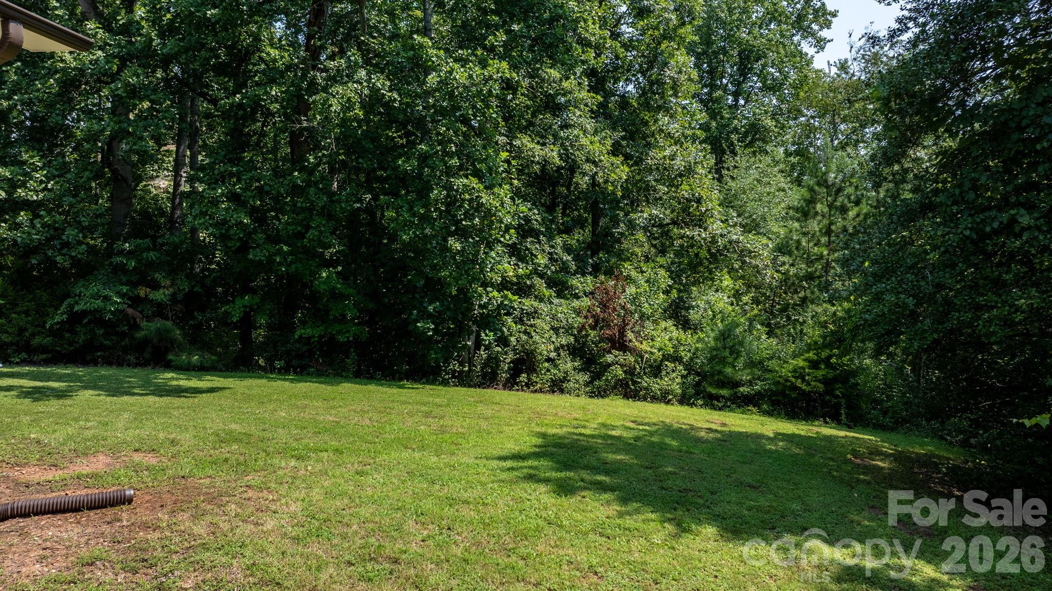 Side Yard - 4370 Dynasty Lane, Hudson