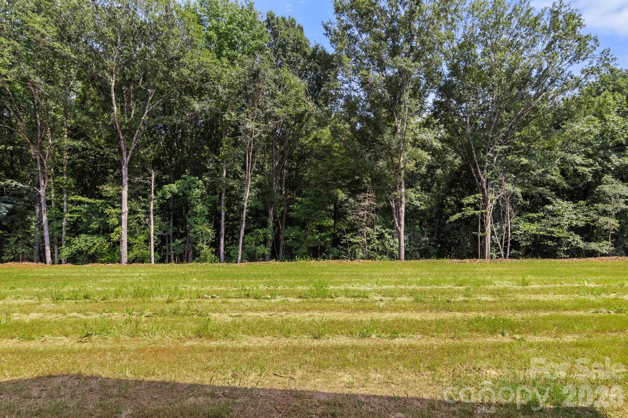 Backyard - Wooded - 151 McCorkle Street, York