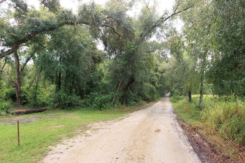 Land at 0 LUCILLES SHADY LN, NOBLETON, photo 3 of 42