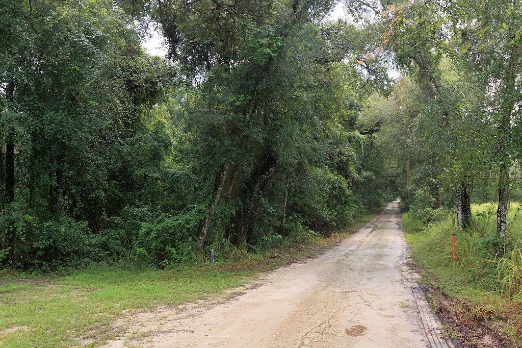 Land at 0 LUCILLES SHADY LN, NOBLETON, photo 5 of 42