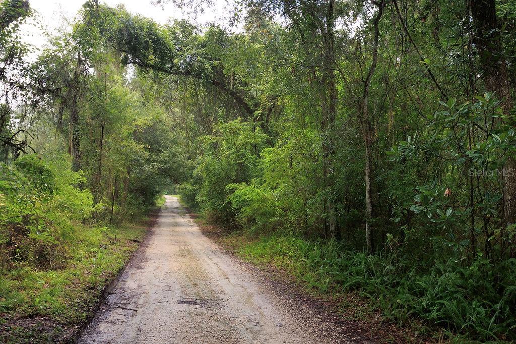 Land at 0 LUCILLES SHADY LN, NOBLETON, photo 11 of 42
