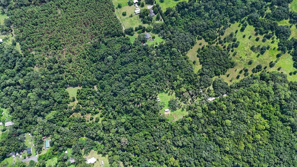 Land at 0 LUCILLES SHADY LN, NOBLETON, photo 28 of 42