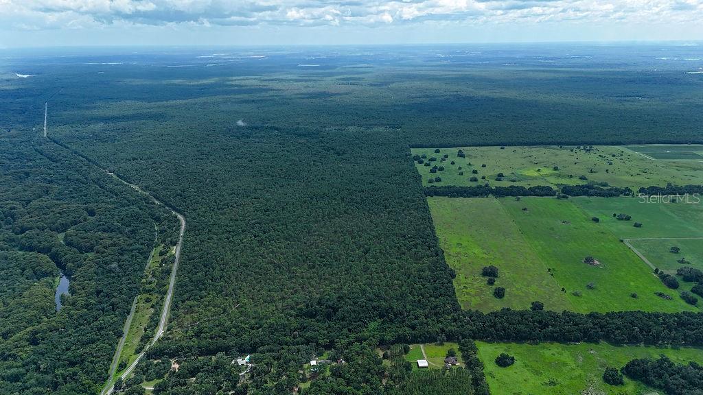 Land at 0 LUCILLES SHADY LN, NOBLETON, photo 35 of 42