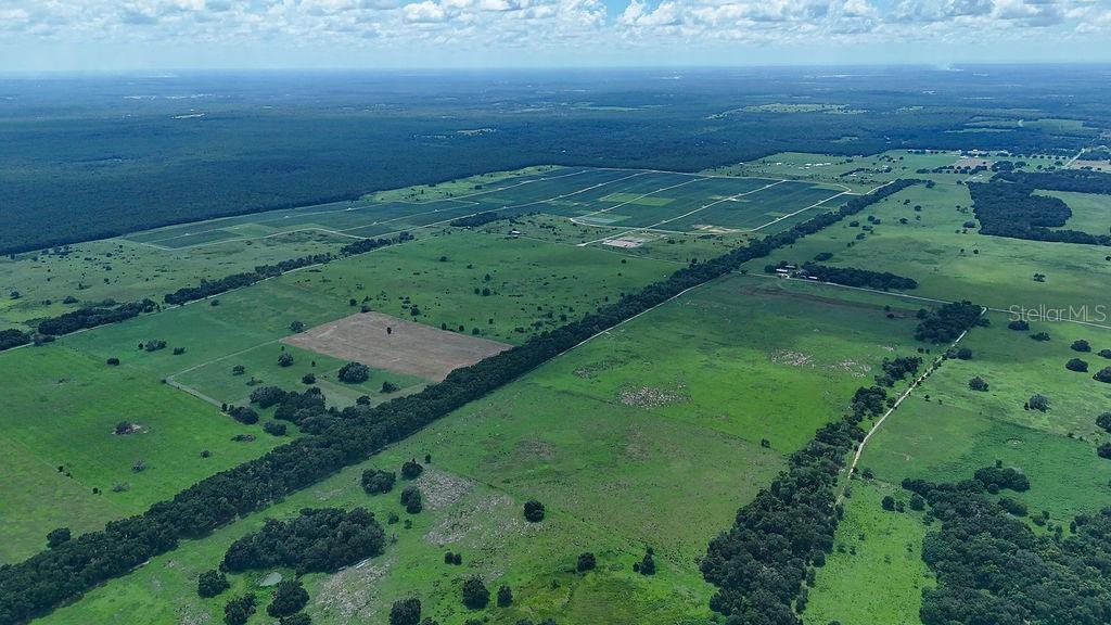 Land at 0 LUCILLES SHADY LN, NOBLETON, photo 36 of 42