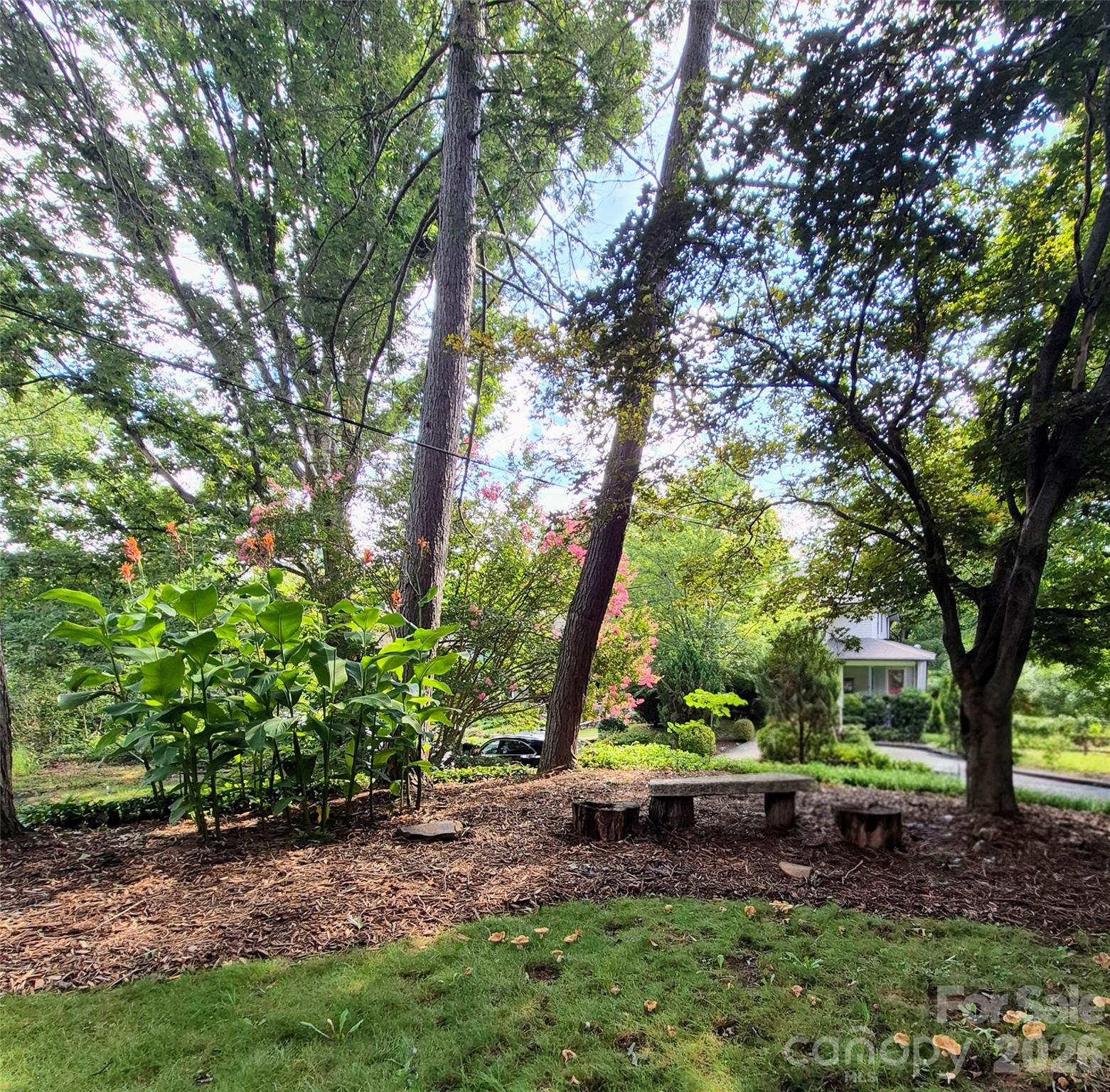 Mature trees and stone bench in level front yard - 41 Panola Street, Asheville