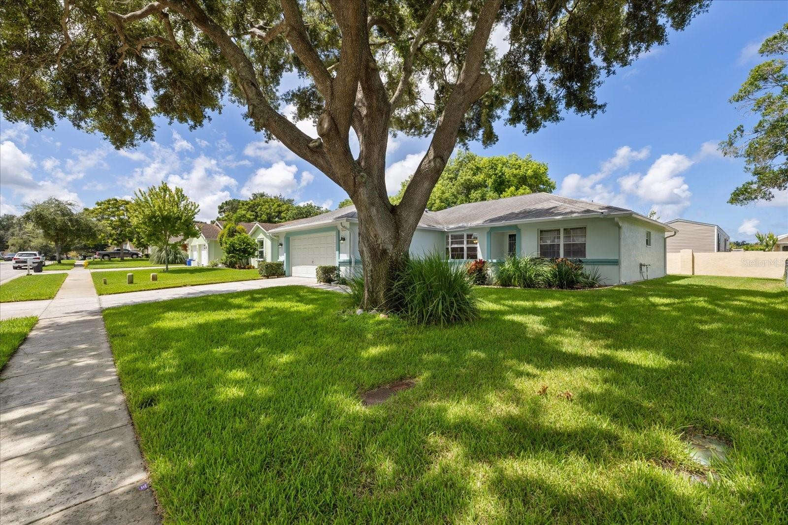 Single Family Residence at 7329 FAIRWOOD AVE, NEW PORT RICHEY, photo 40 of 47