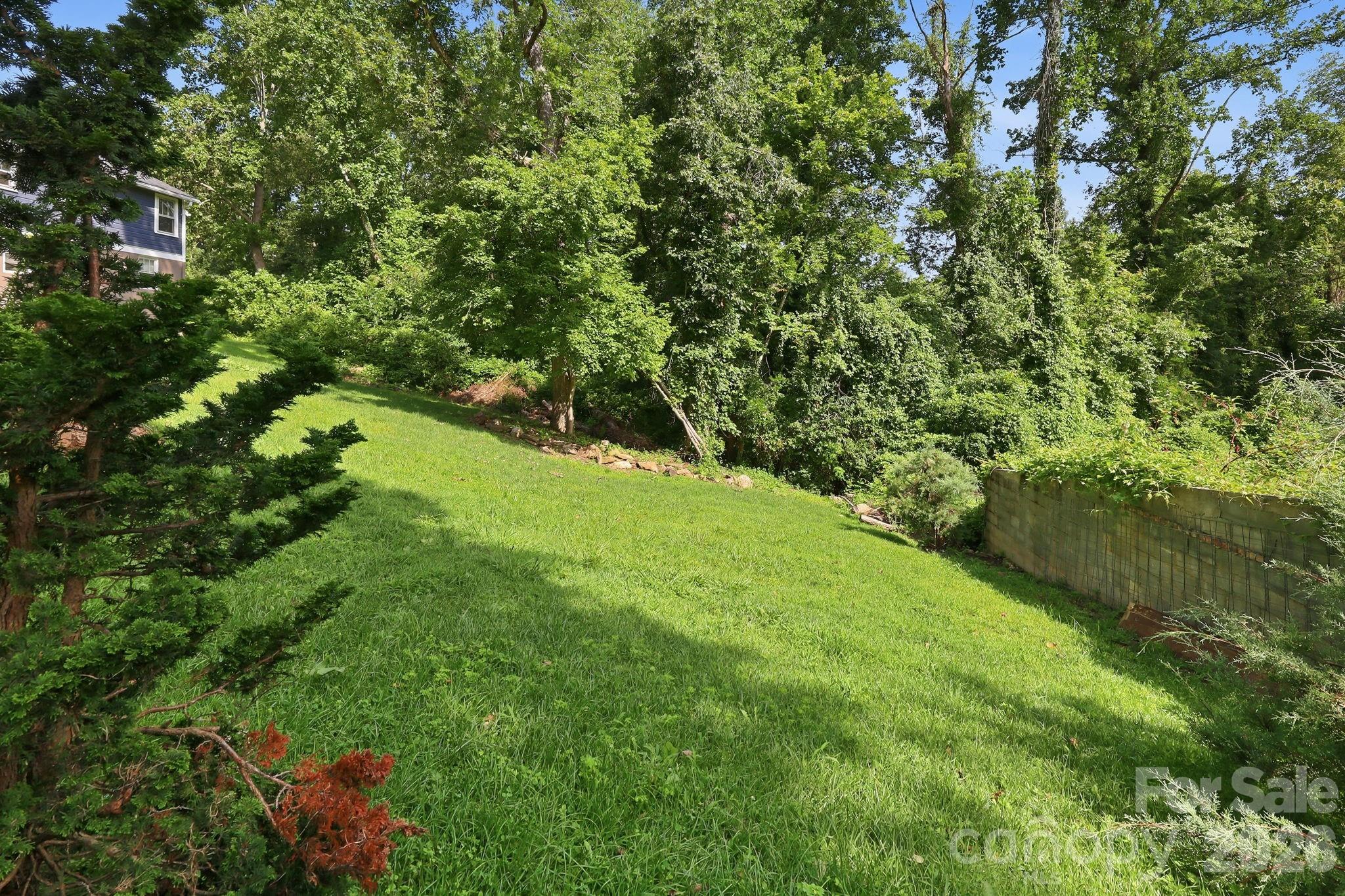 Backyard directly adjoins the Montford Recreation Complex. - 146 Courtland Avenue, Asheville