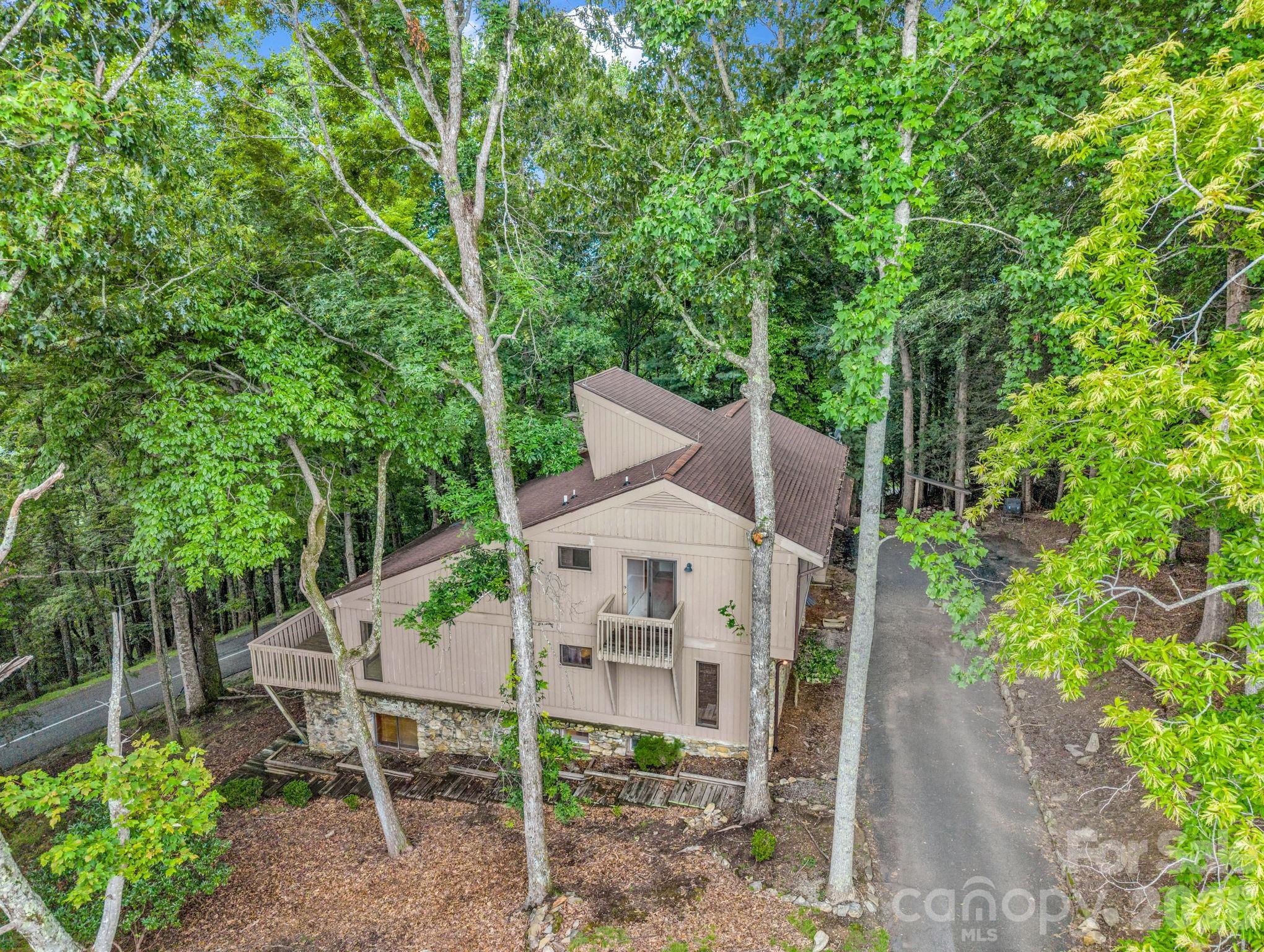 Overhead view, flat driveway - 10 Chestnut Ridge Road, Mills River