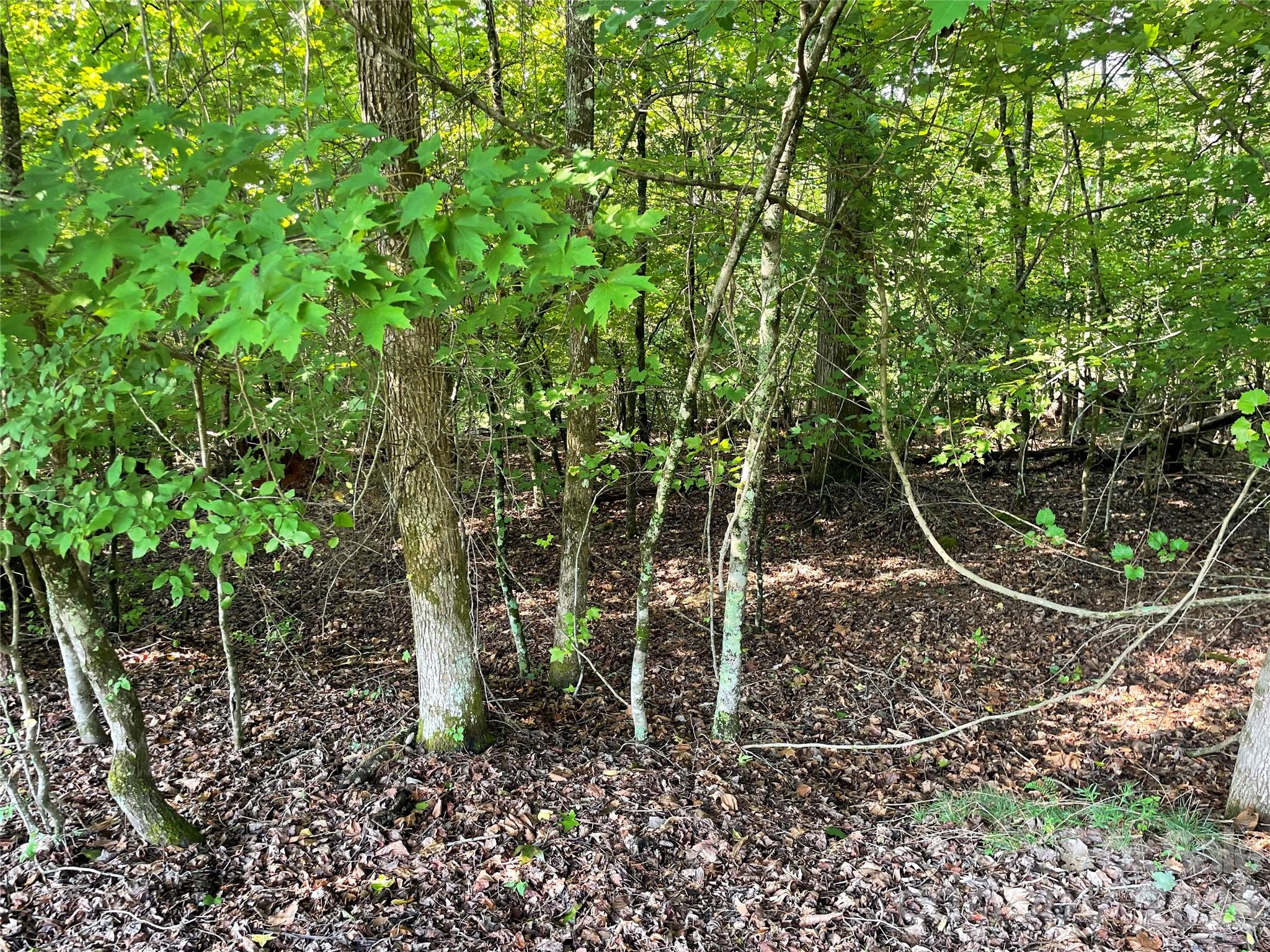 Lot at 0 River Bend Drive, Connelly Springs, photo 3 of 10