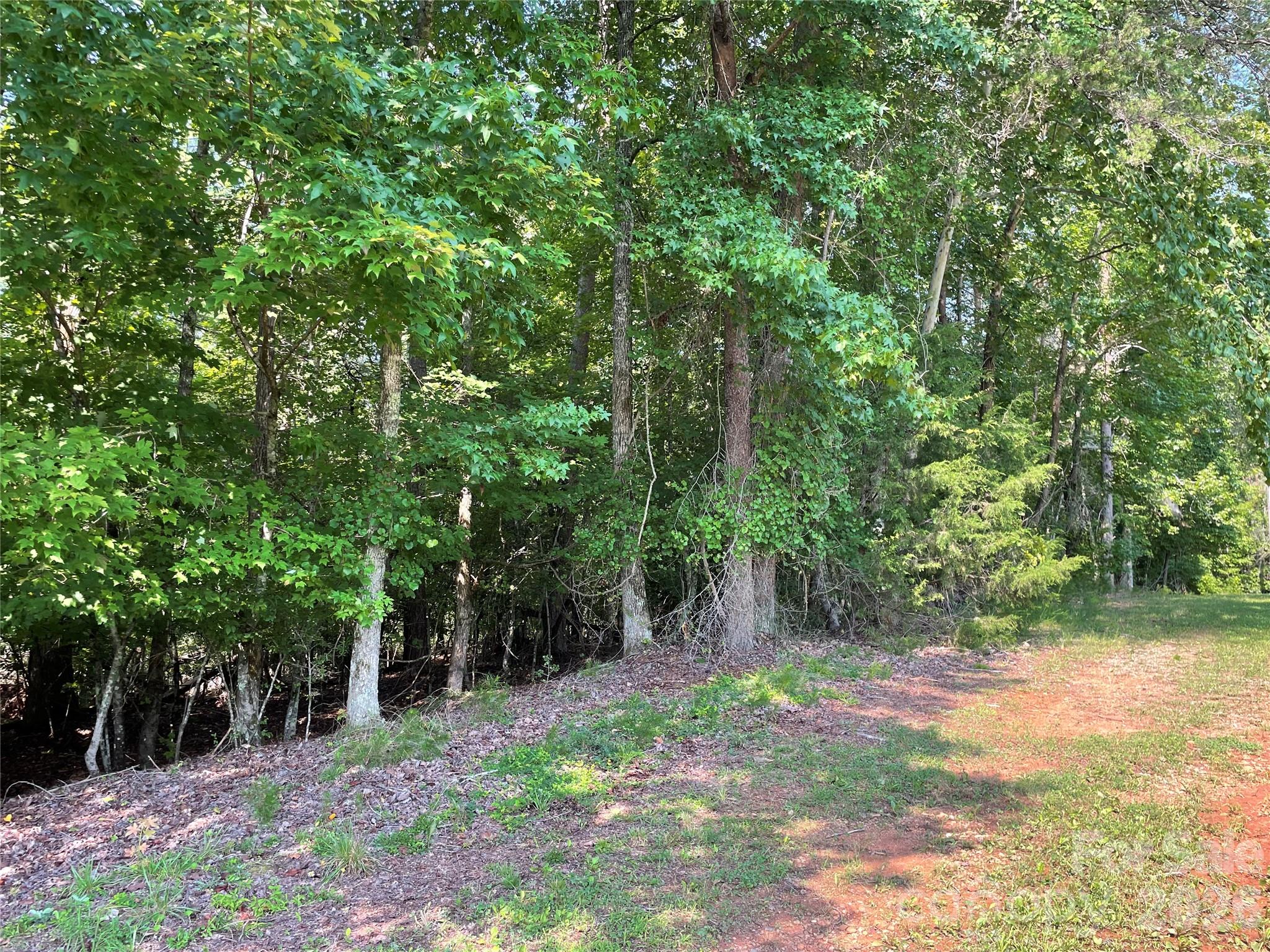 Lot at 0 River Bend Drive, Connelly Springs, photo 4 of 8