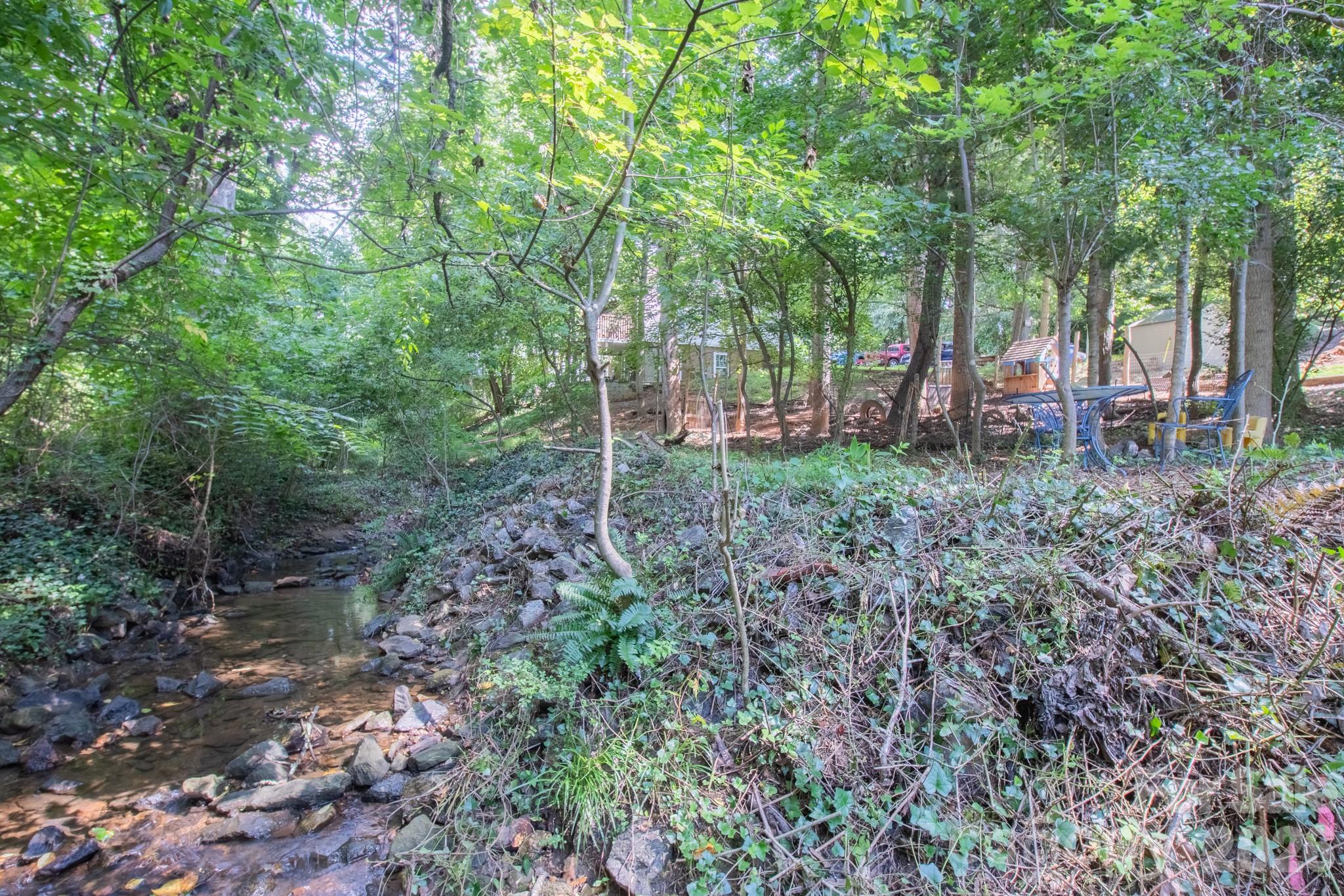 Stream / Riverbank has beautiful, gradual spots for easier access to the water. - 99999 Rumbough Place, Asheville