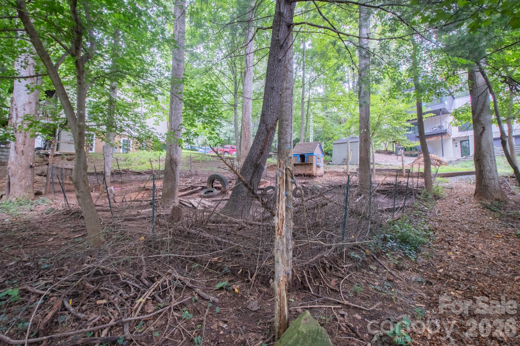 Wooded land with gradual slope in active neighborhood between 2 parks: Malvern Hills and Hominy Greenway. - 99999 Rumbough Place, Asheville