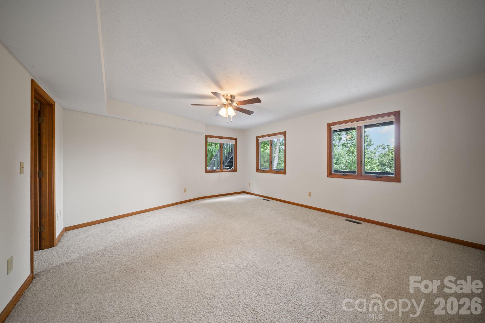 Unstaged bedroom/flex in basement 1 - 1105 High Vista Drive, Mills River
