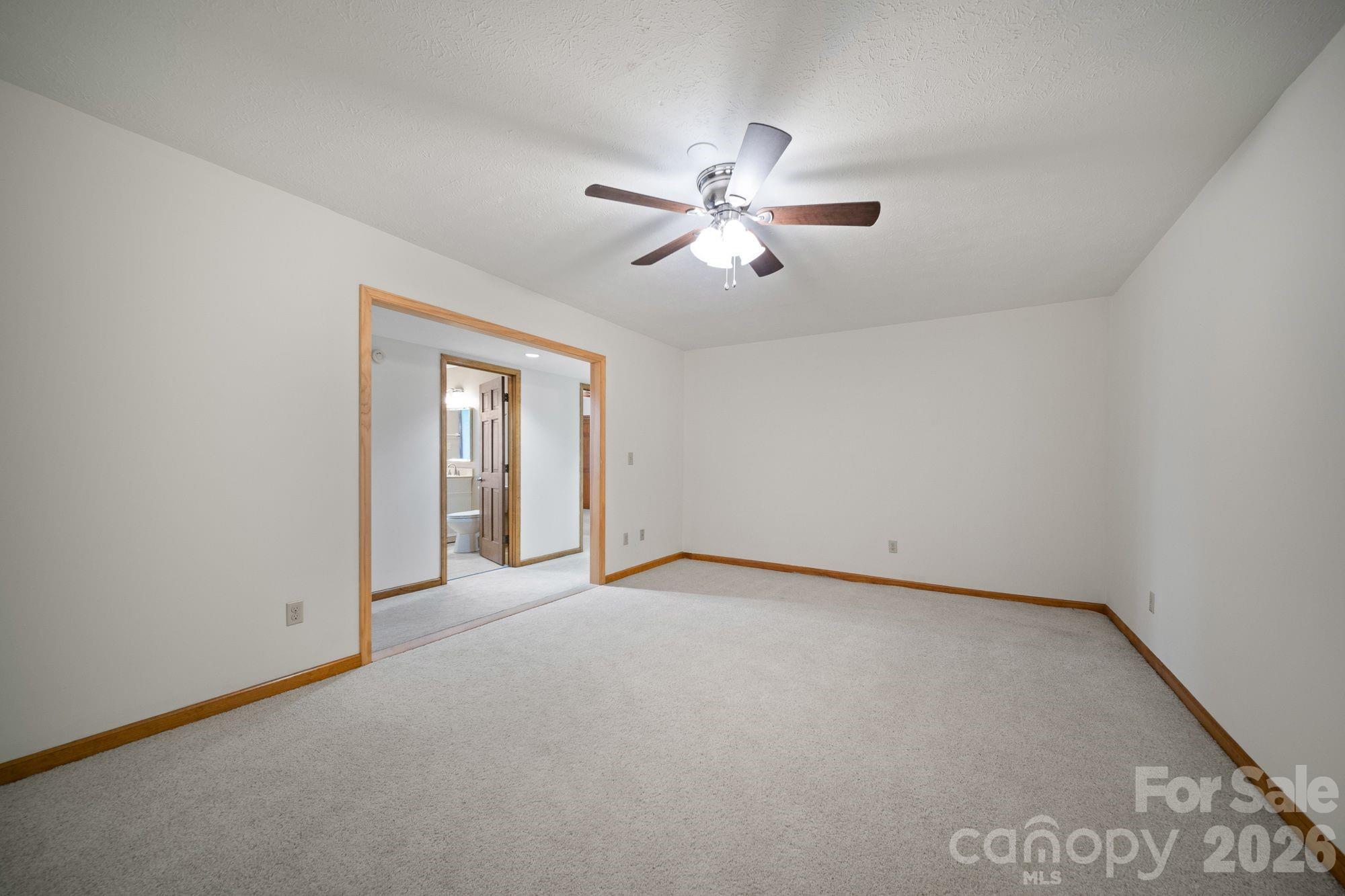 Unstaged theater/flex in basement - 1105 High Vista Drive, Mills River