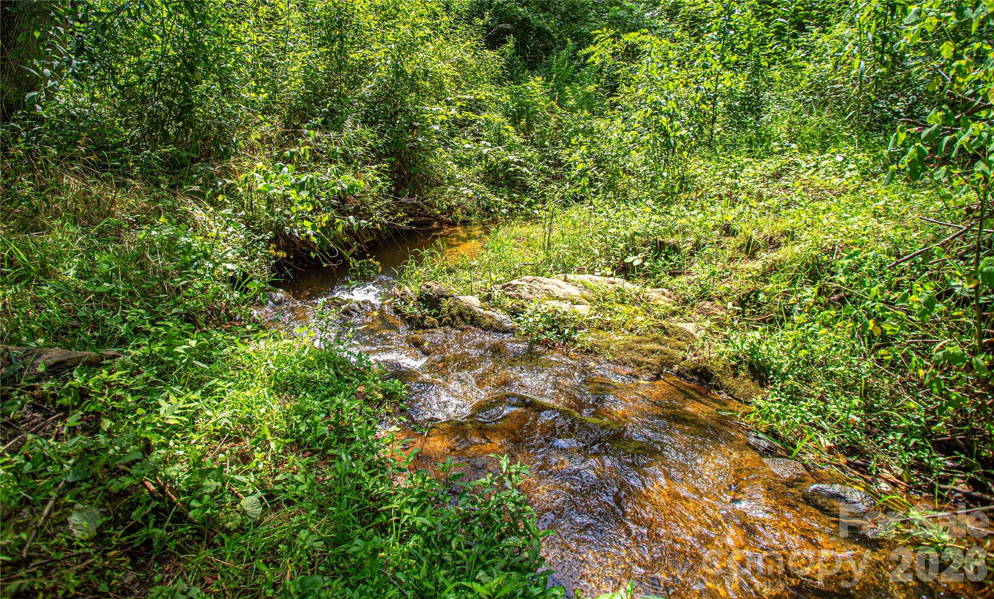 One of two year round creeks - 132 Hurd Road, Canton