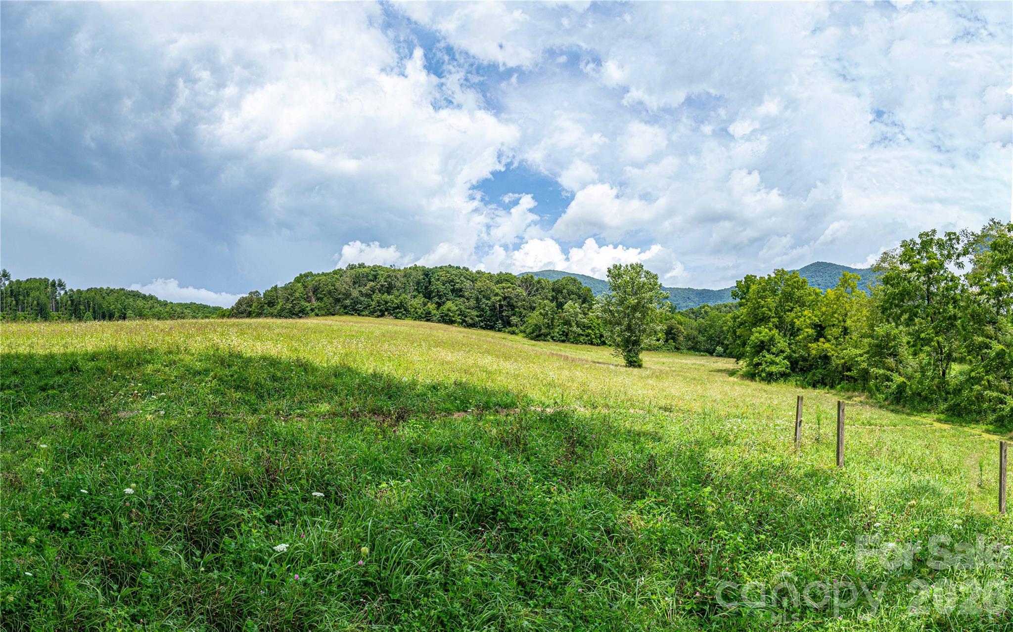 Perfect for solar collection or growing - 132 Hurd Road, Canton
