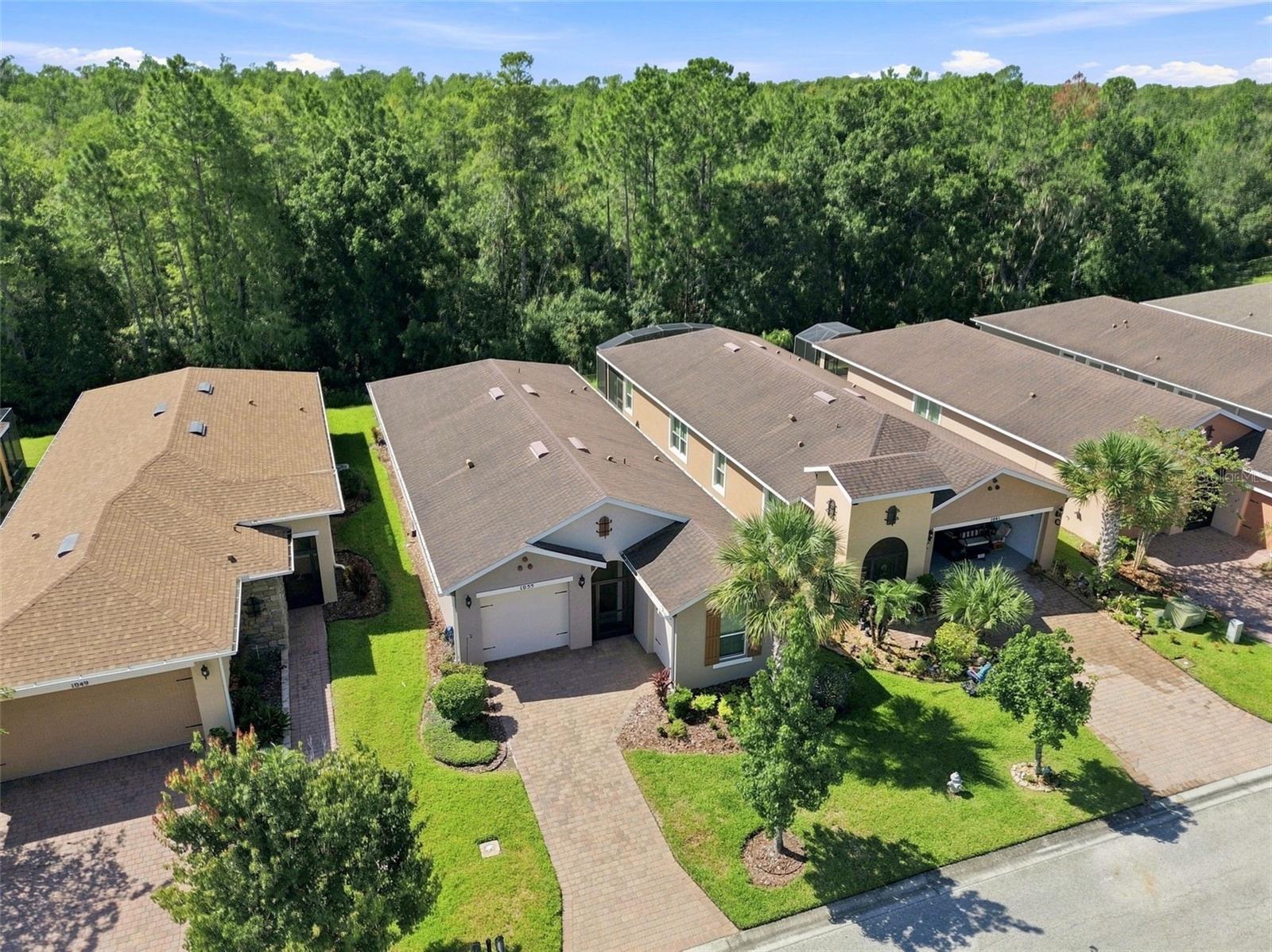 Expansive Conservation area in back - 1055 HARBOR RIDGE DR, KISSIMMEE