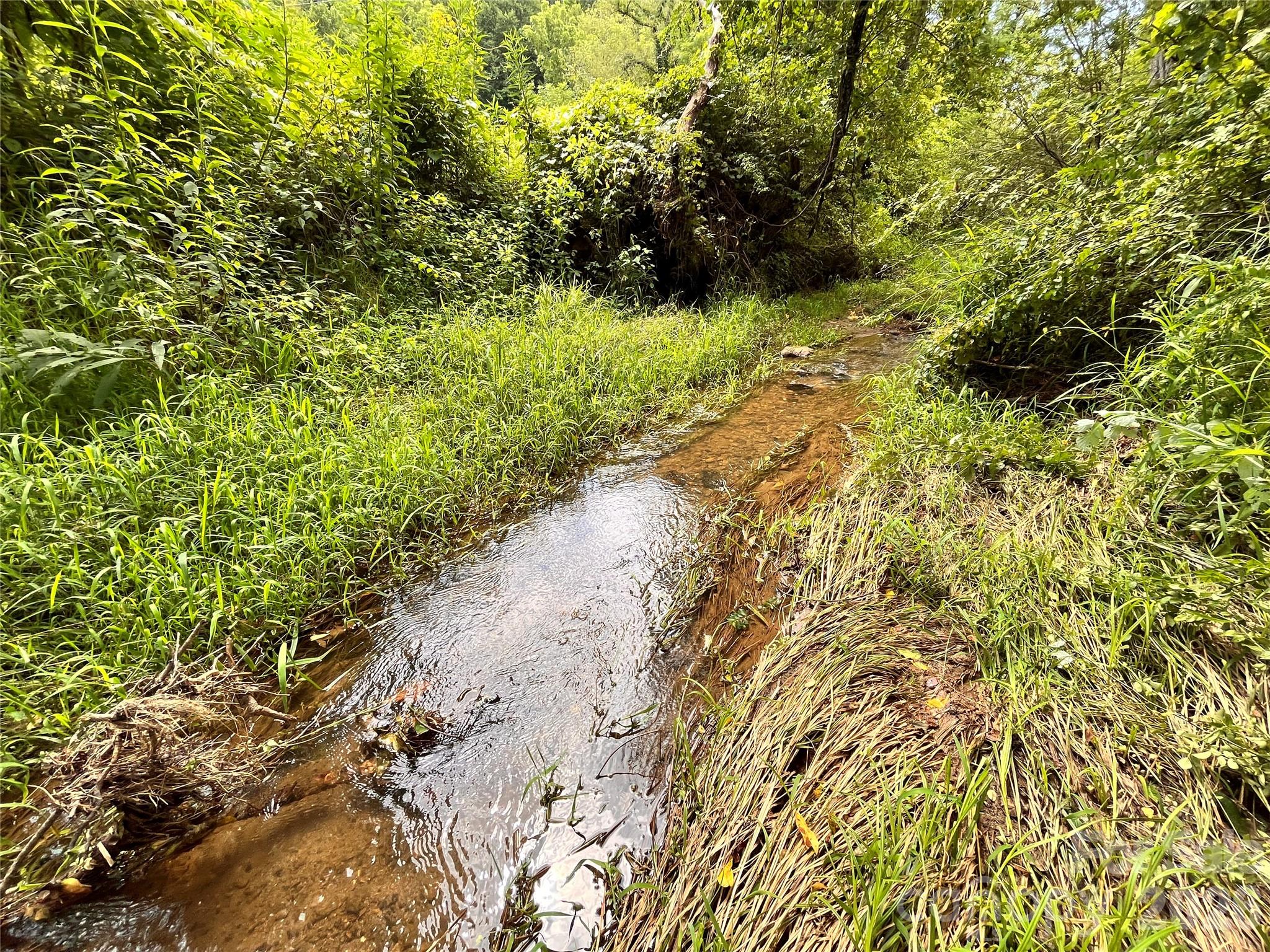 Excellent water source for livestock or irrigation - 132 Hurd Road, Canton