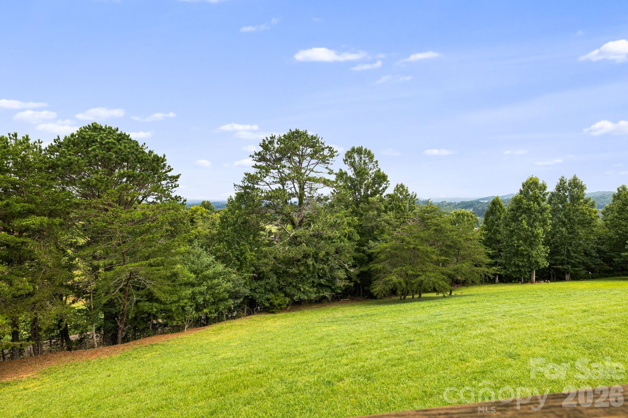Backyard - 194 Cabin Hollow Drive, Marshall