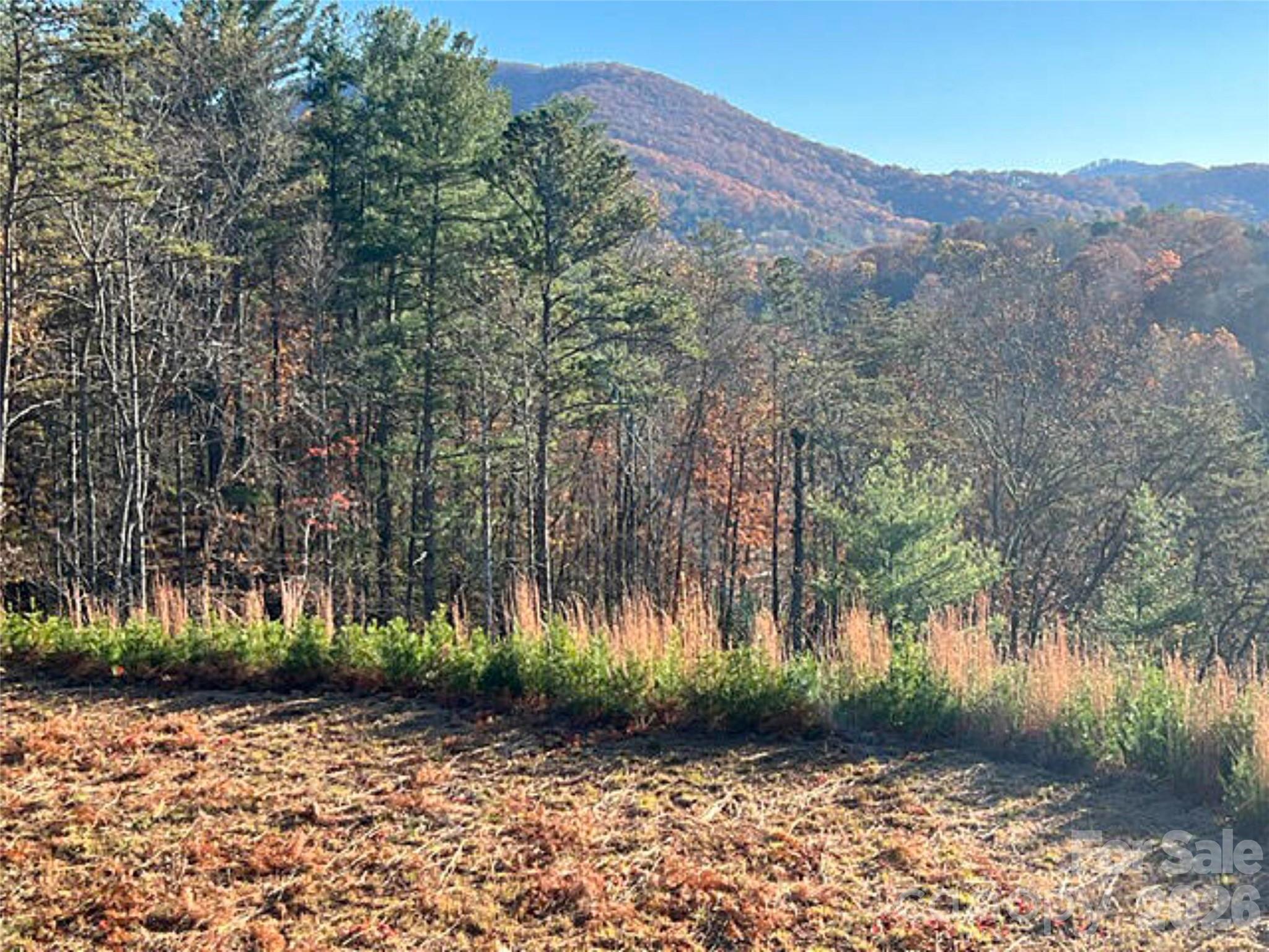 Lot at 165 Riverbend Forest Drive, Asheville, photo 2 of 22