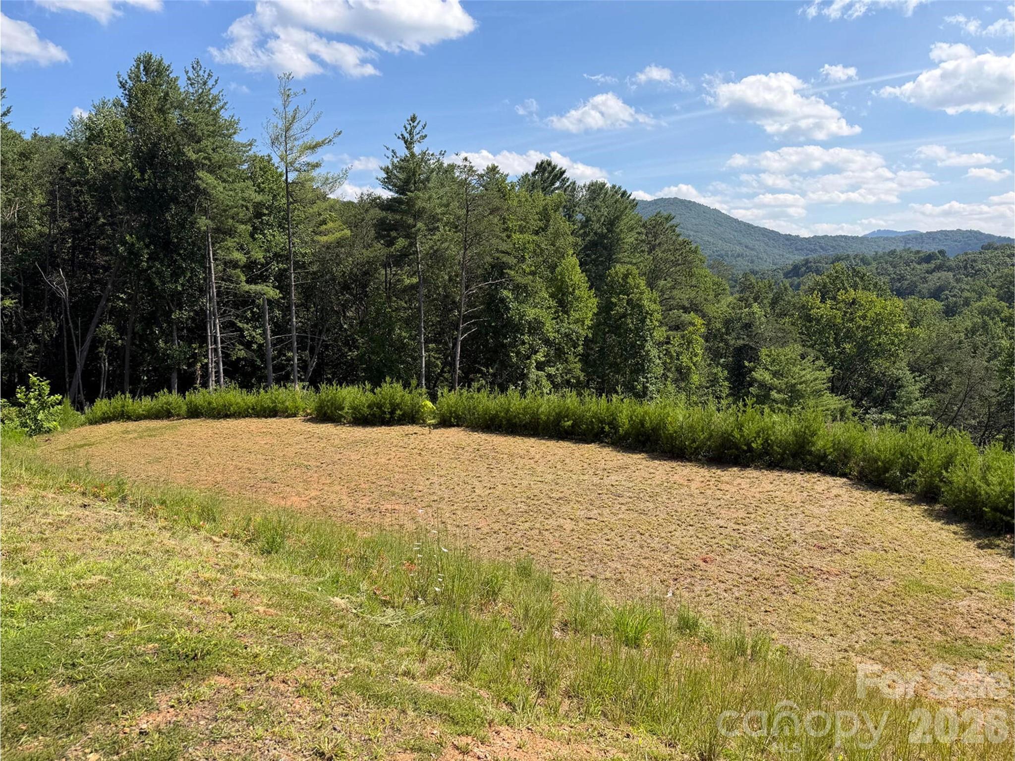Lot at 165 Riverbend Forest Drive, Asheville, photo 3 of 22