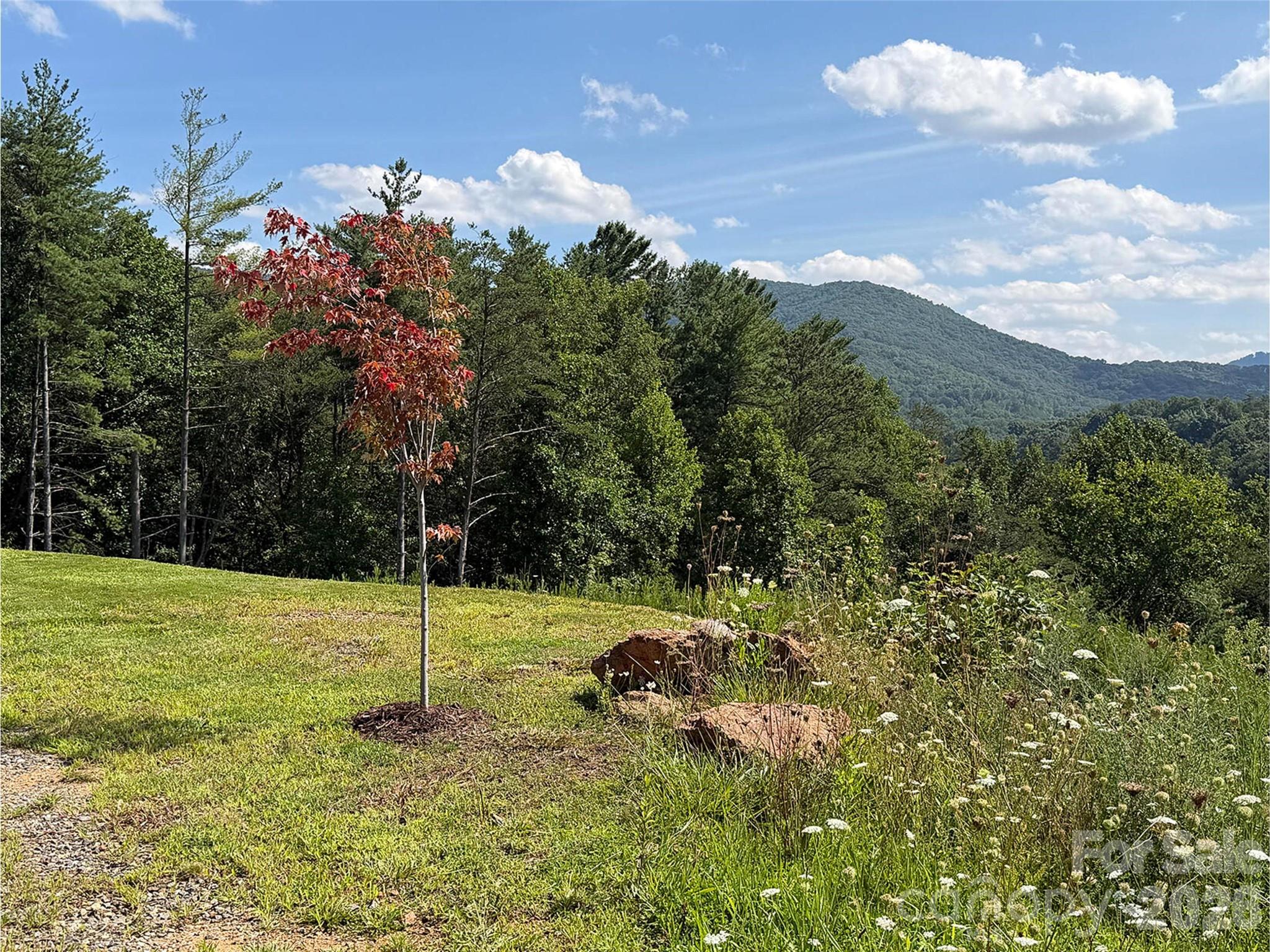 Lot at 165 Riverbend Forest Drive, Asheville, photo 4 of 22