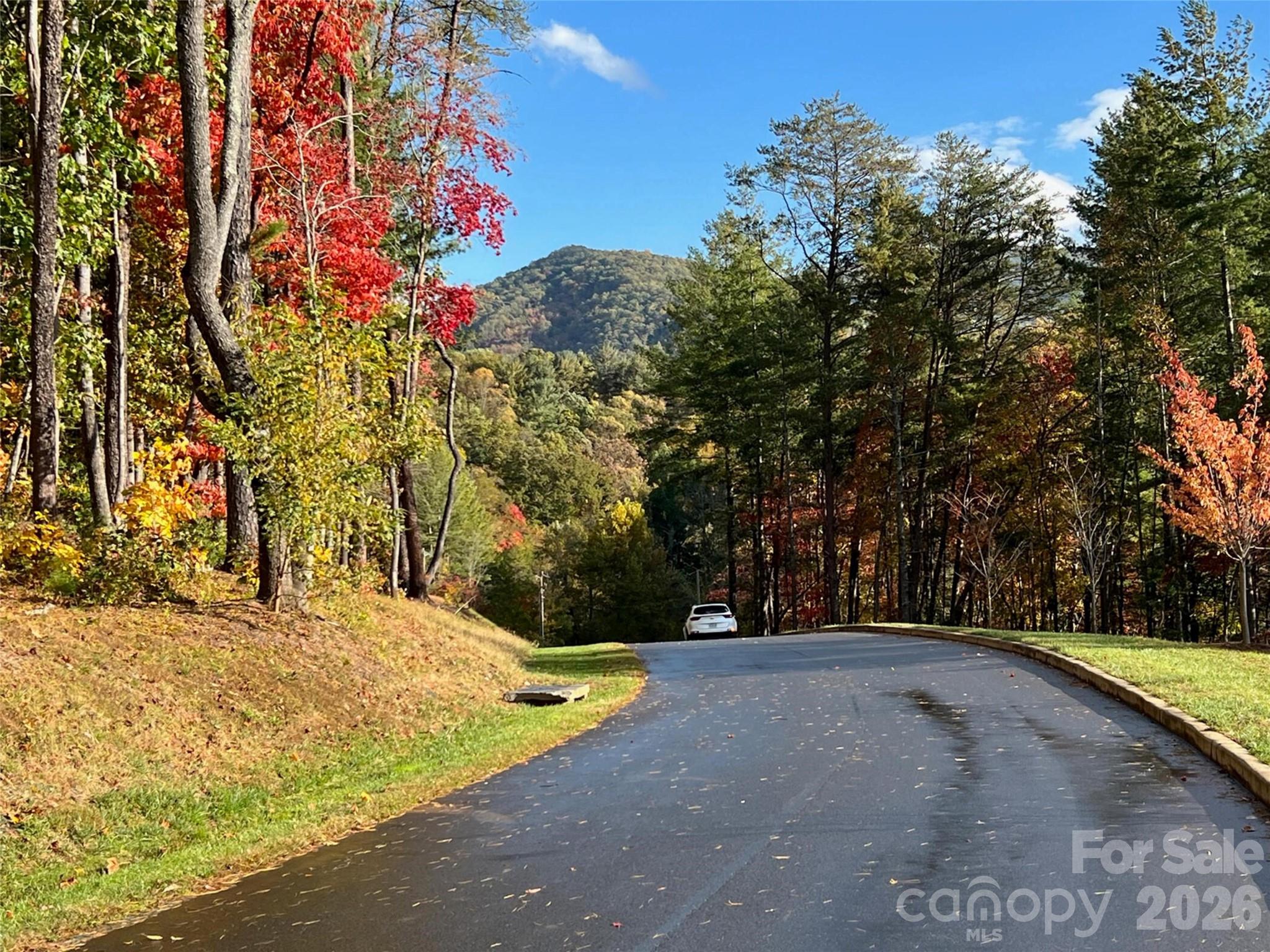 Lot at 165 Riverbend Forest Drive, Asheville, photo 5 of 22