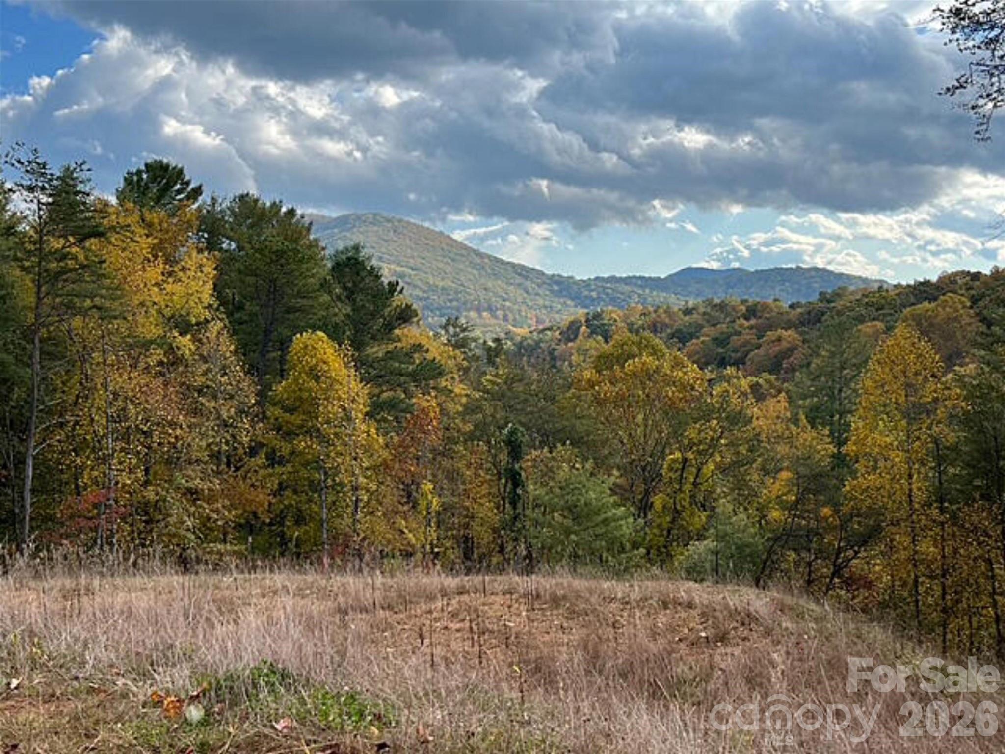 Lot at 165 Riverbend Forest Drive, Asheville, photo 22 of 22