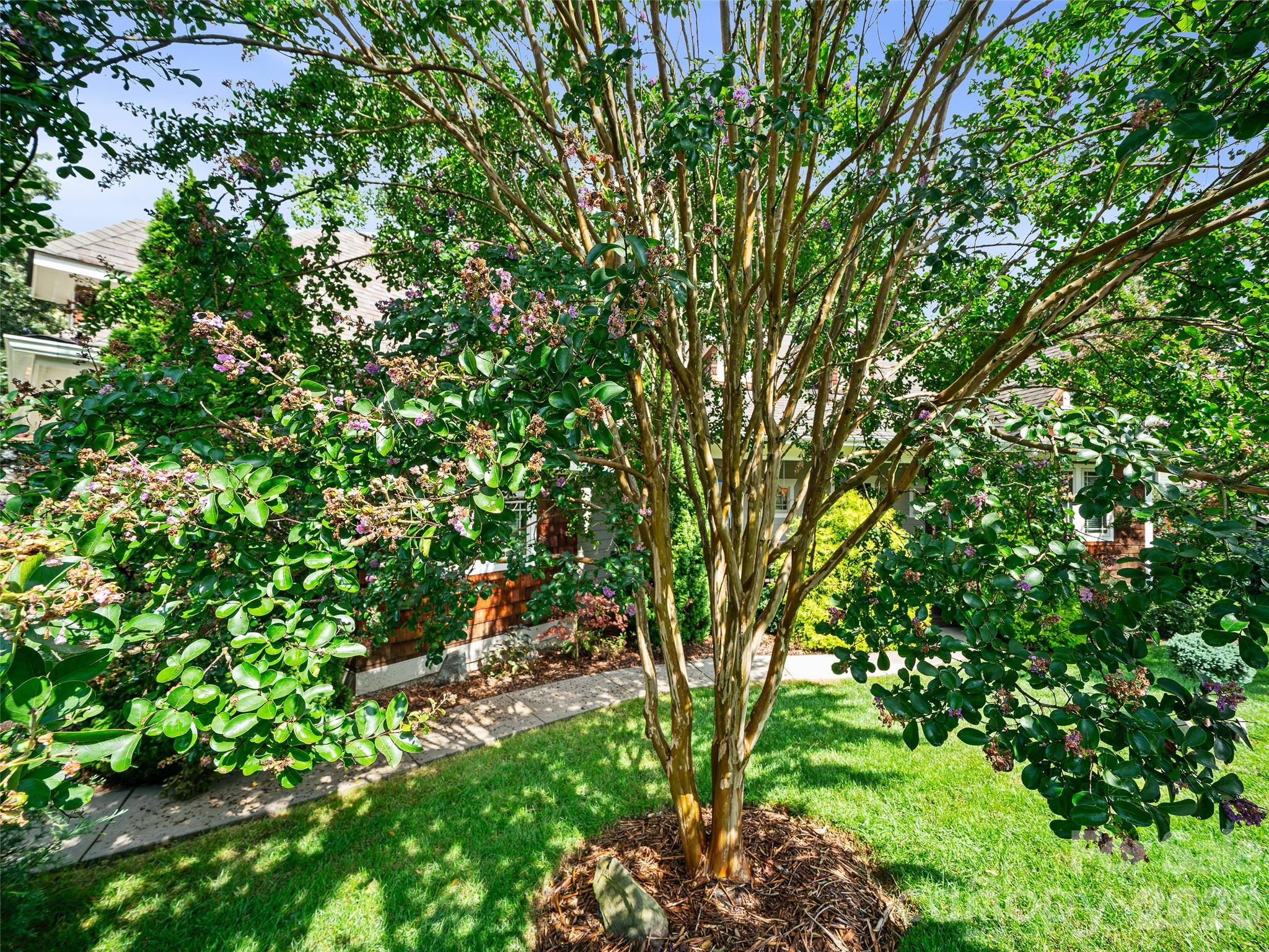 lush landscaping - 6 Oak Springs Drive, Arden