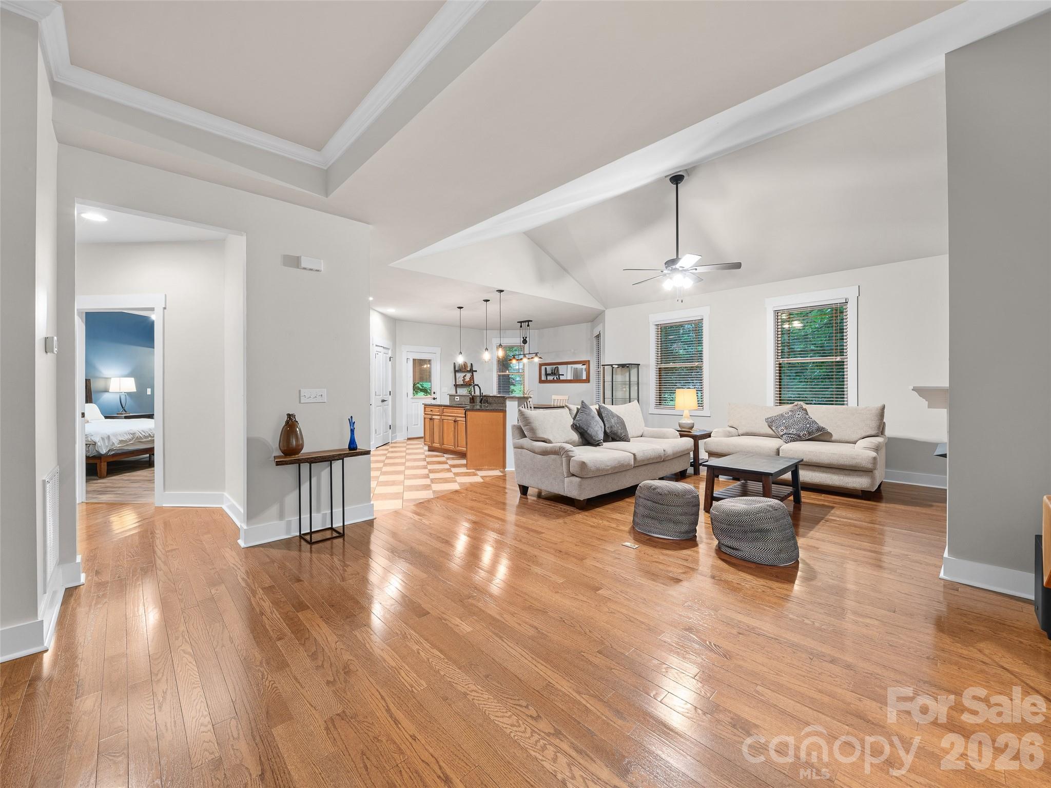 all 1-level living - 6 Oak Springs Drive, Arden